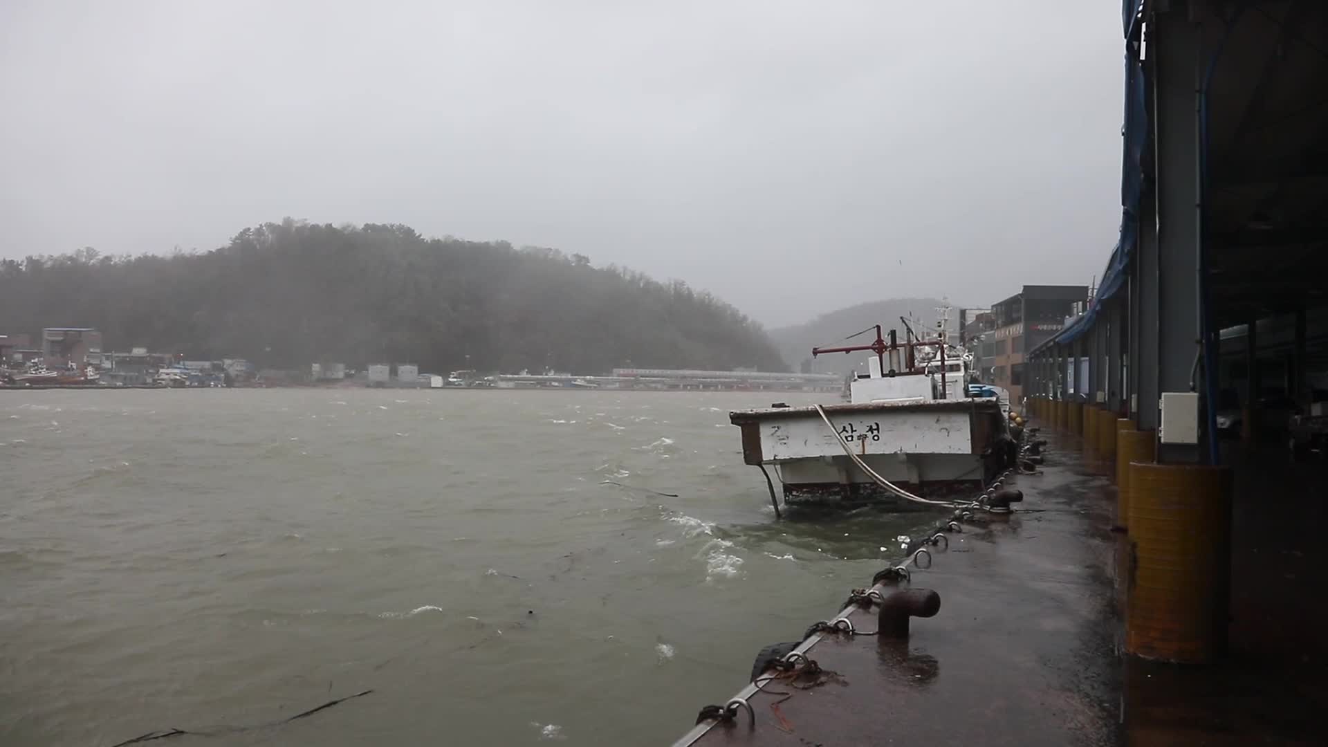 Typhoon Haishen hits South Korea