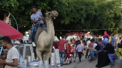 Eid al-Adha In Gaza