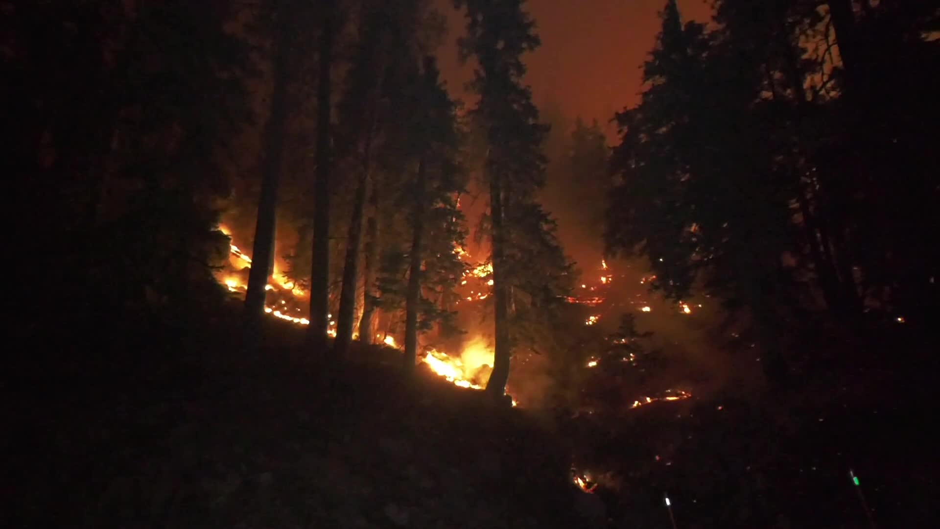 Bobcat Fire is now at 41,231 acres with 3% containment