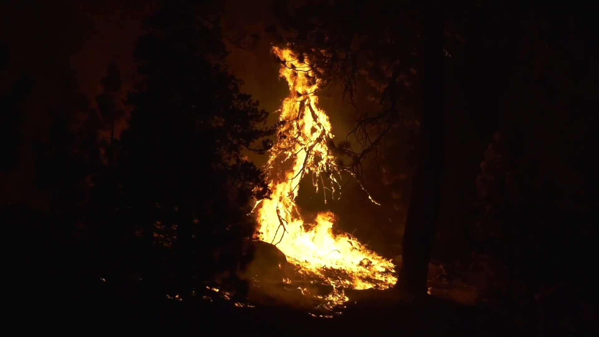 Bobcat Fire is now at 41,231 acres with 3% containment