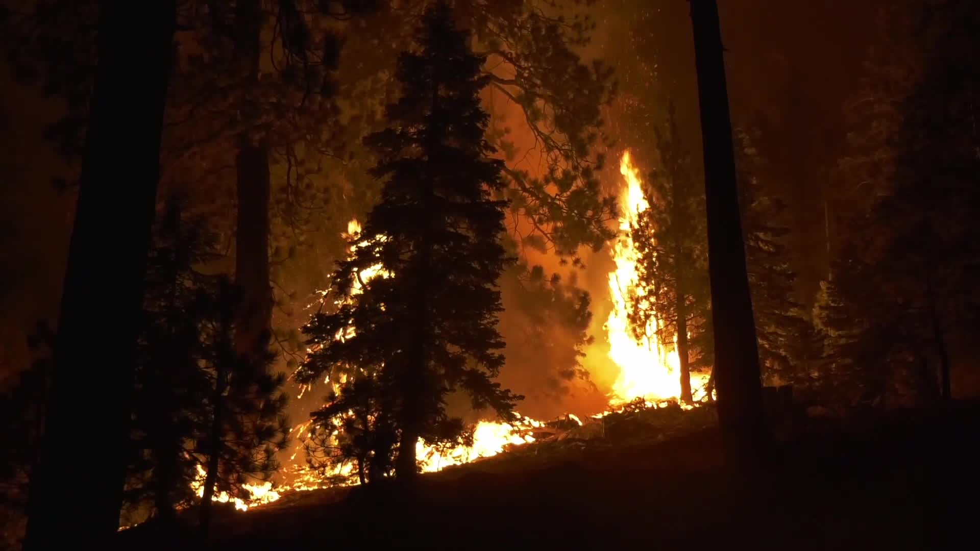 Bobcat Fire is now at 41,231 acres with 3% containment
