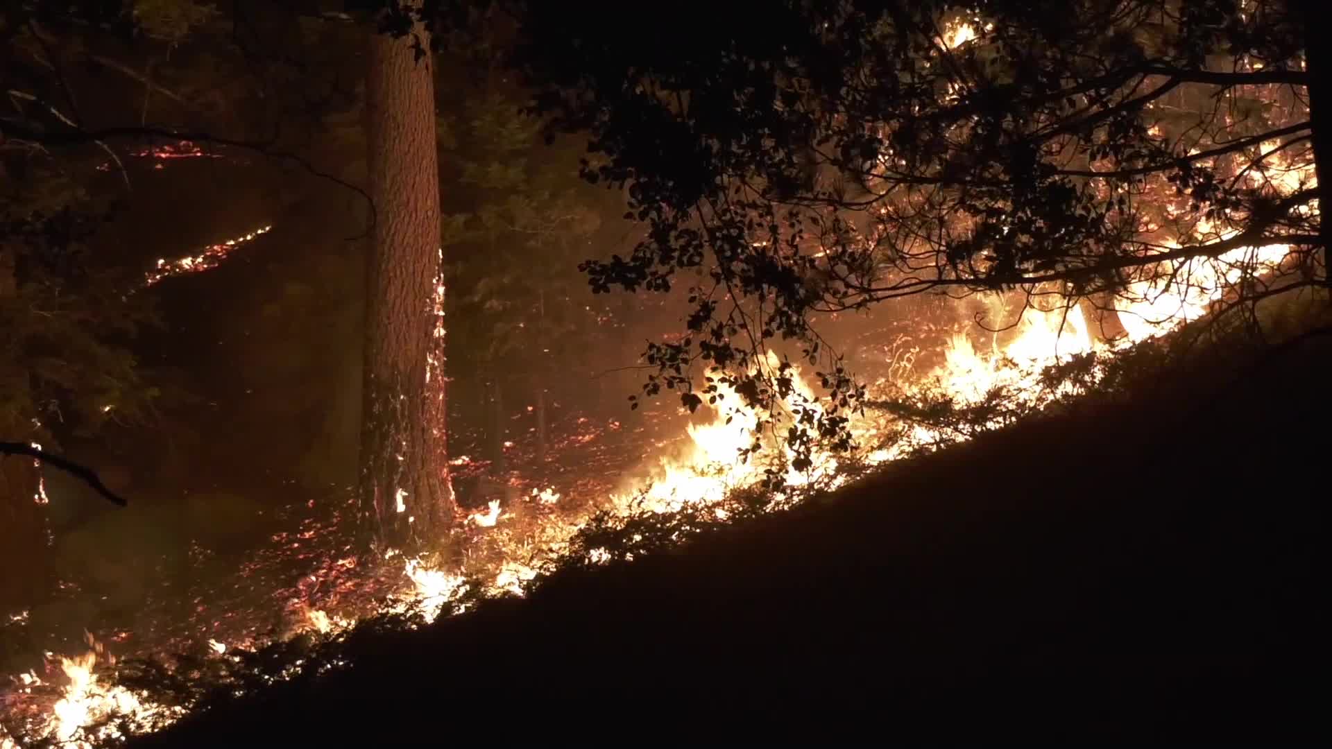 Bobcat Fire is now at 41,231 acres with 3% containment