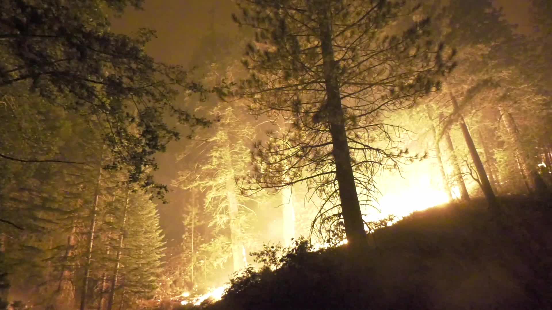 Bobcat Fire is now at 41,231 acres with 3% containment
