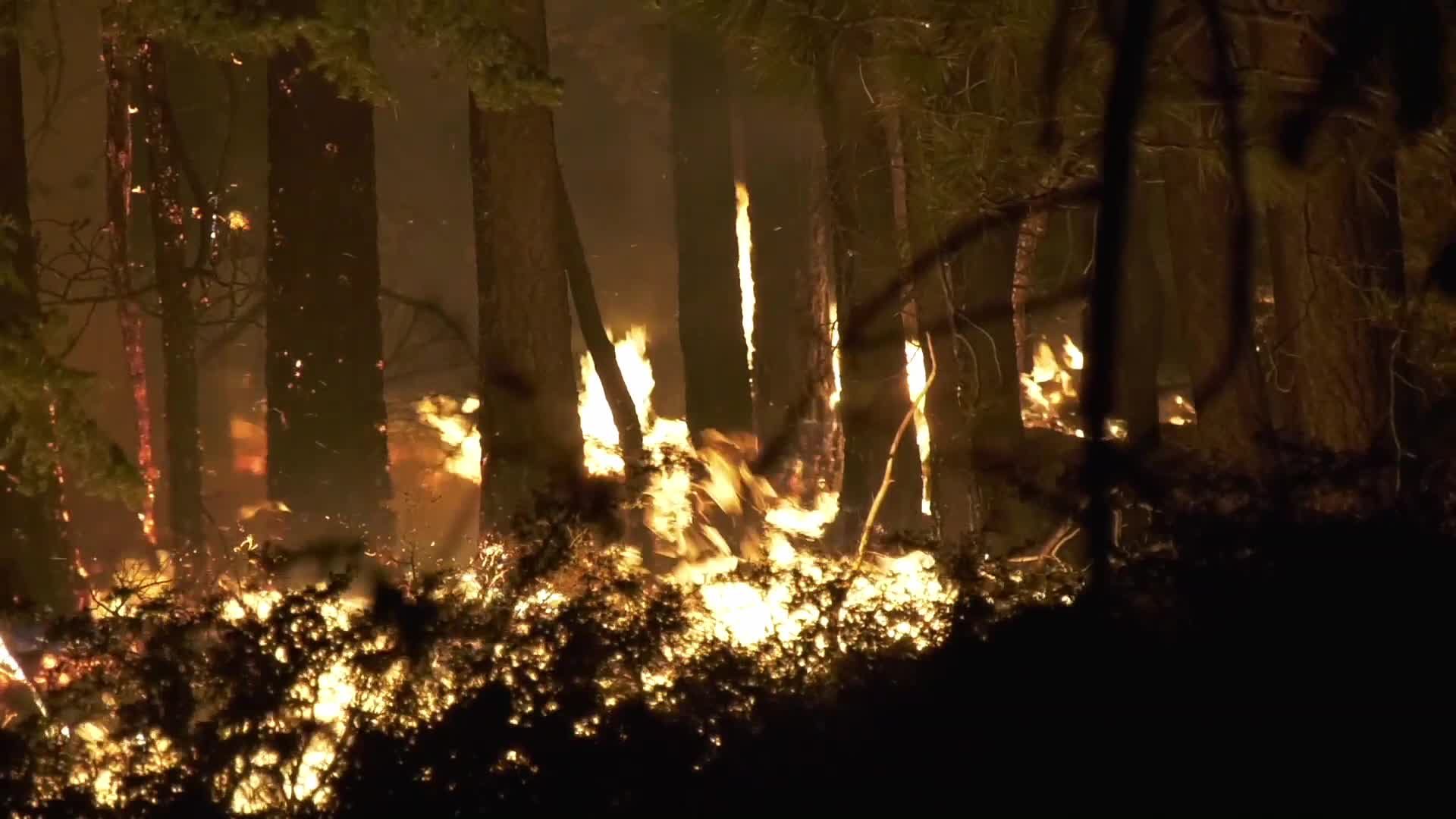 Bobcat Fire is now at 41,231 acres with 3% containment