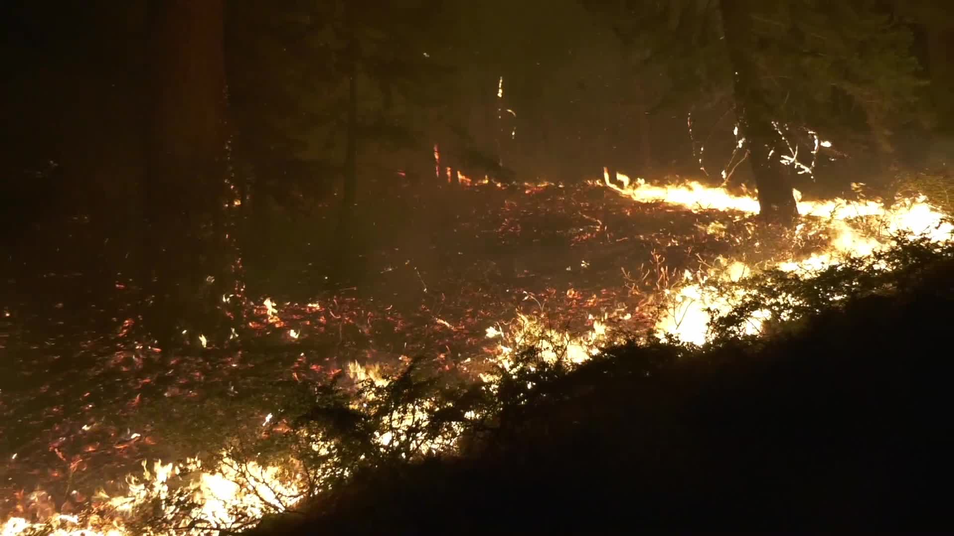 Bobcat Fire is now at 41,231 acres with 3% containment