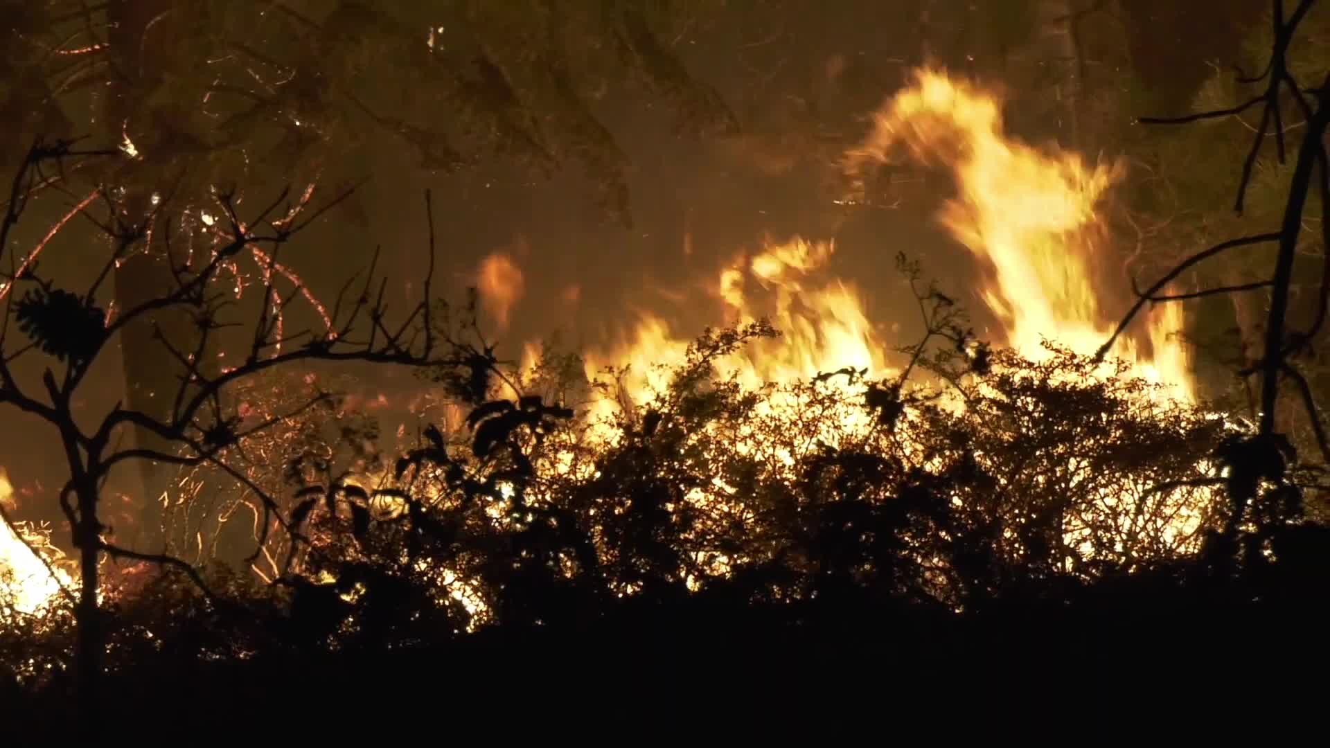 Bobcat Fire is now at 41,231 acres with 3% containment