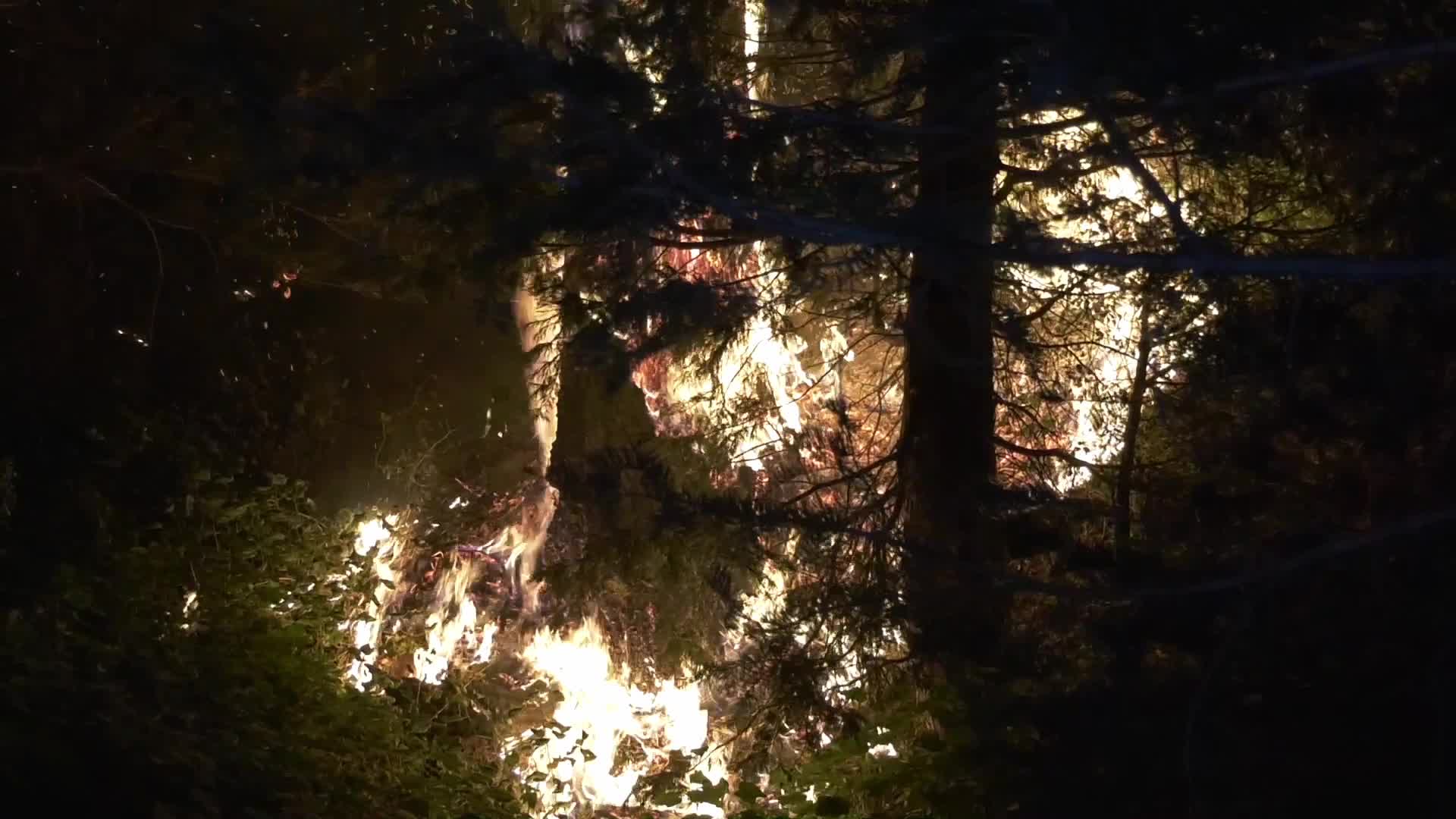 Bobcat Fire is now at 41,231 acres with 3% containment