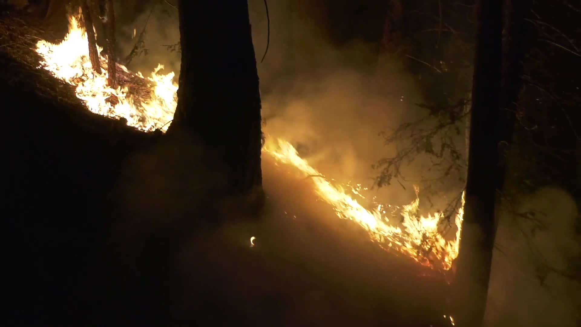 Bobcat Fire is now at 41,231 acres with 3% containment