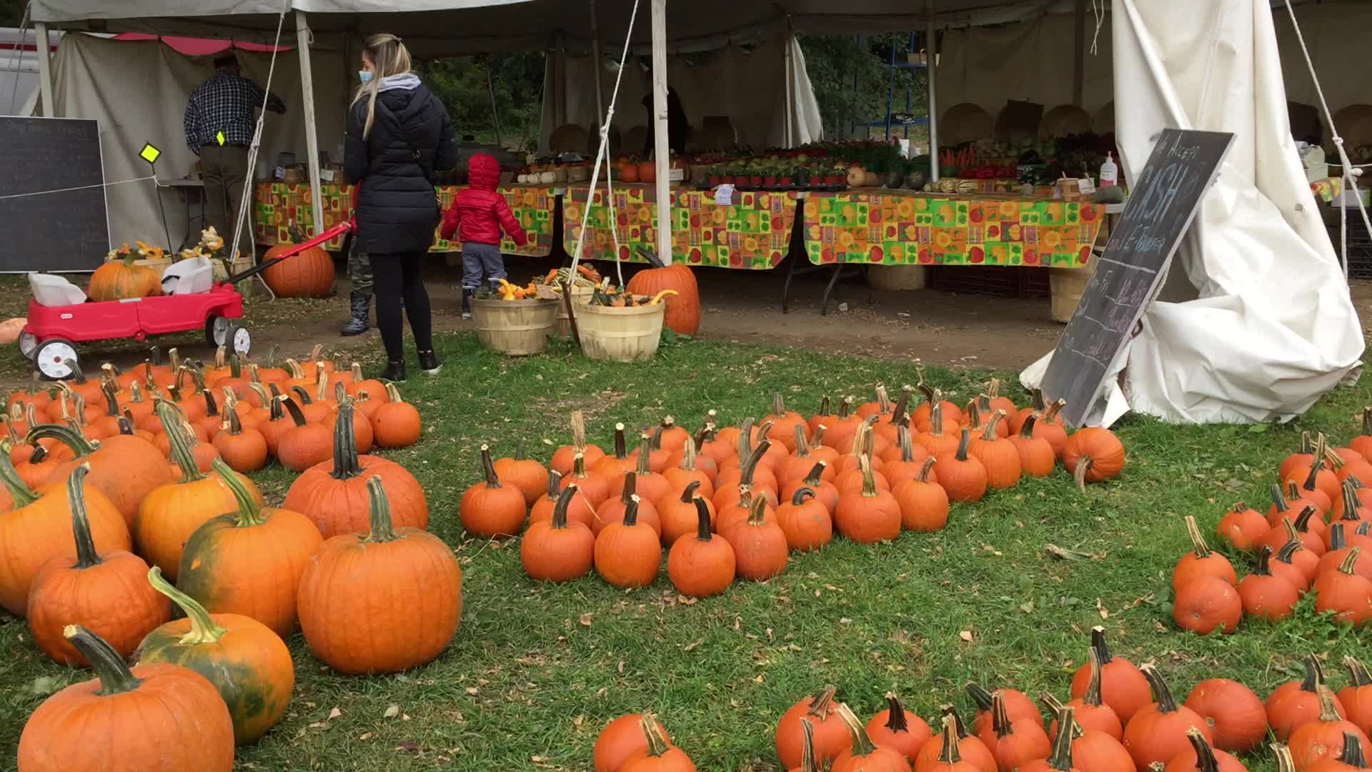Autumn season during the COVID-19 Pandemic