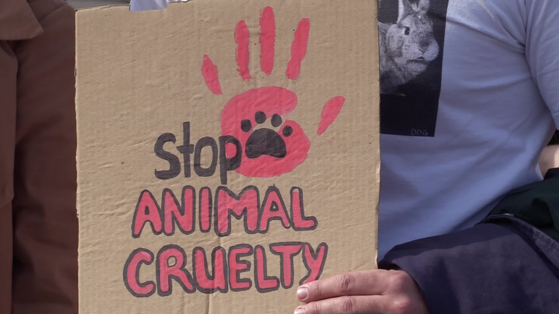 Animal rights supporters rally to the World Animal Day in Kyiv