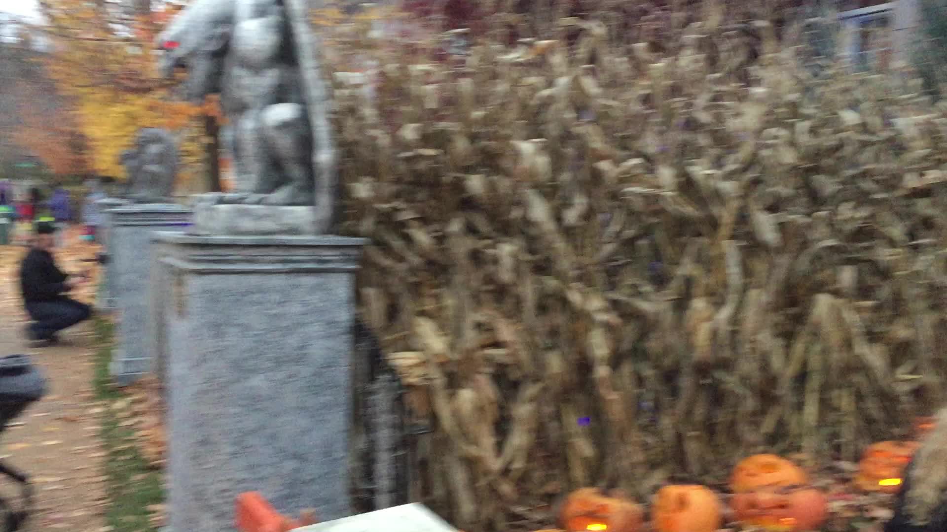 Halloween during the COVID-19 pandemic