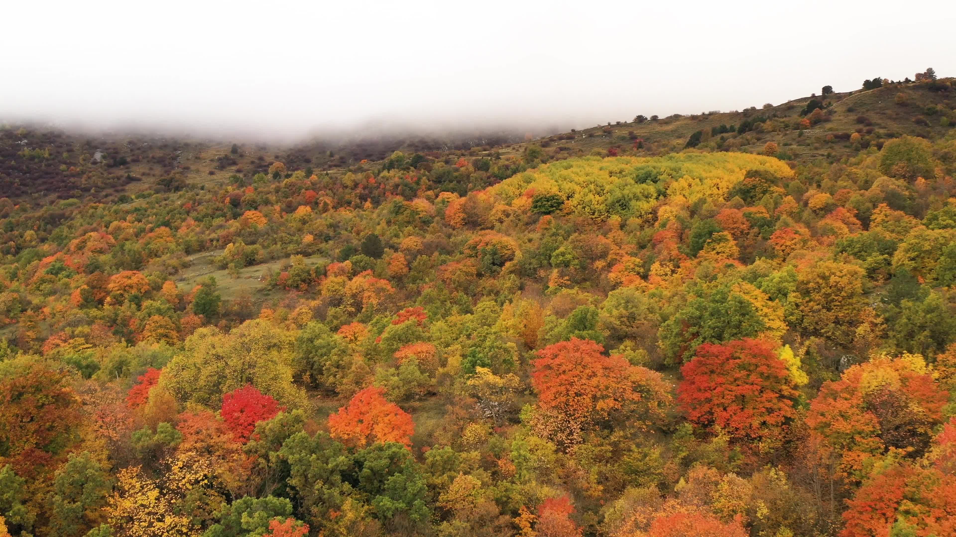 Aerial view of Autumn Foliage in Abruzzo, Italy