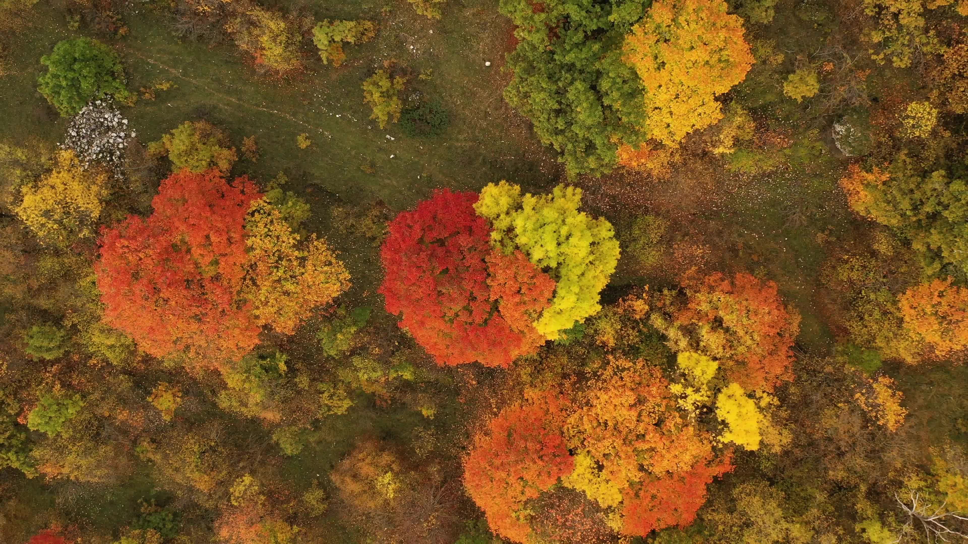 Aerial view of Autumn Foliage in Abruzzo, Italy