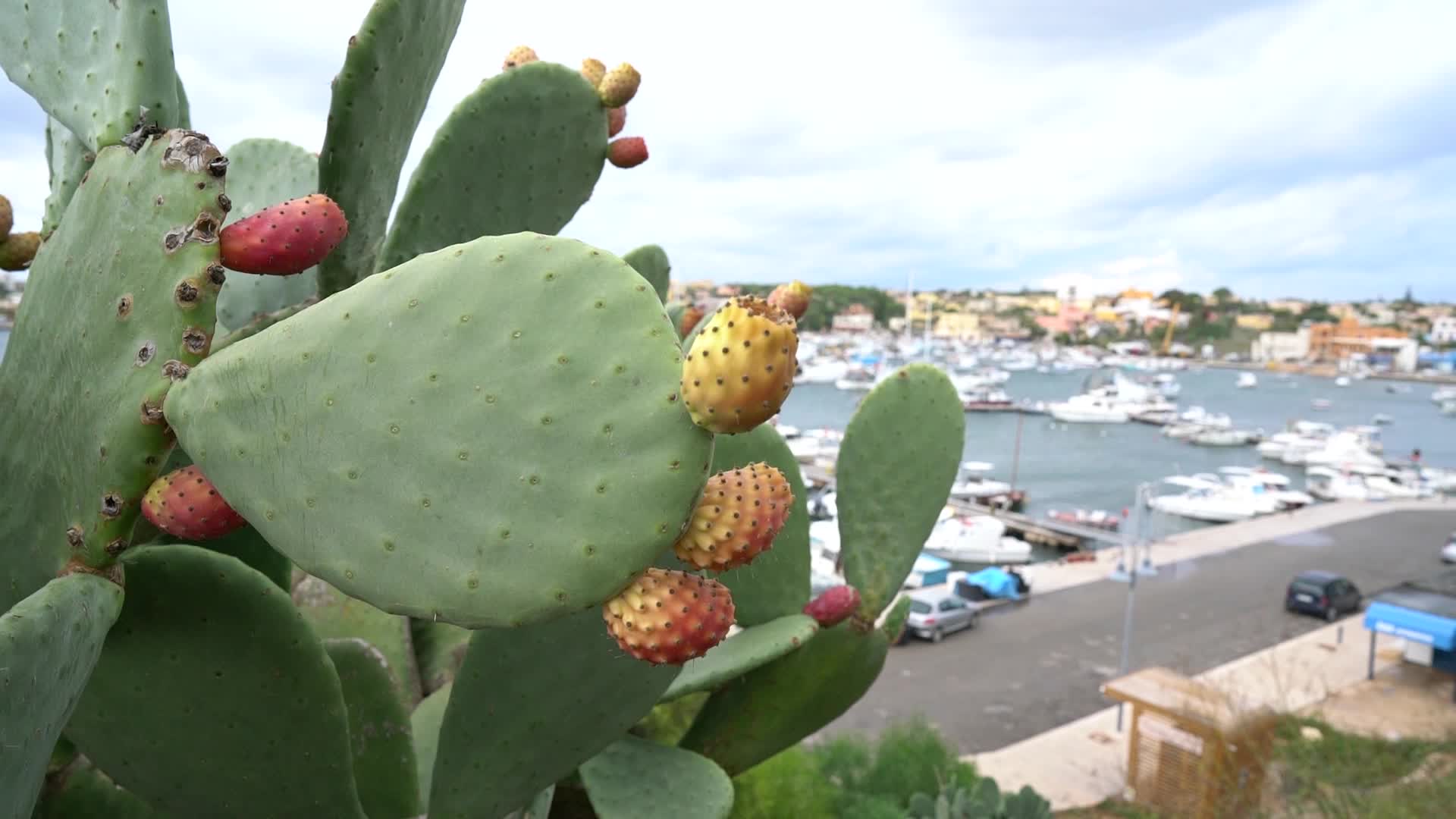 Lampedusa between covids and migrants