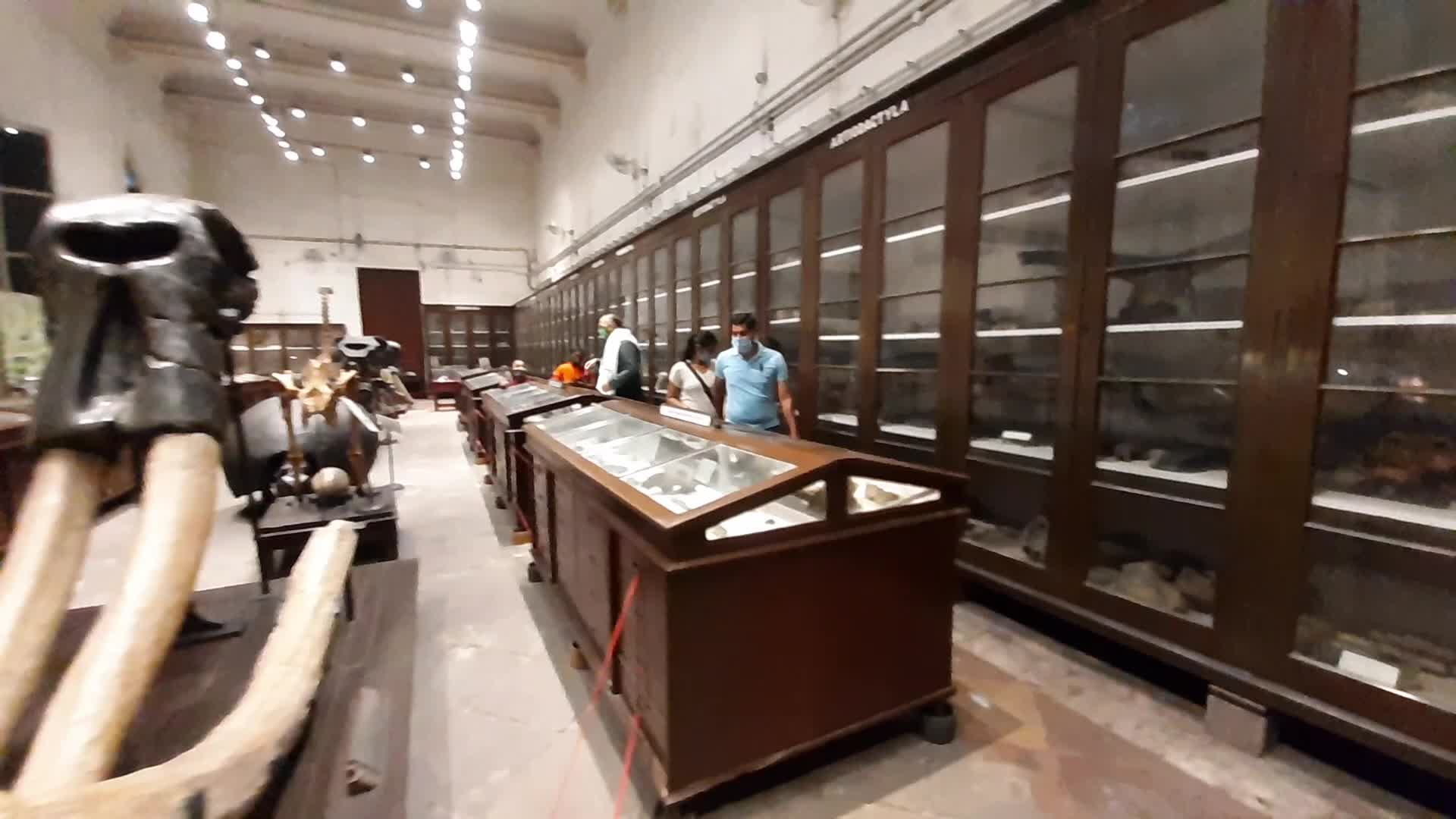 India Museum reopens in India amid the Covid-19 pandemic