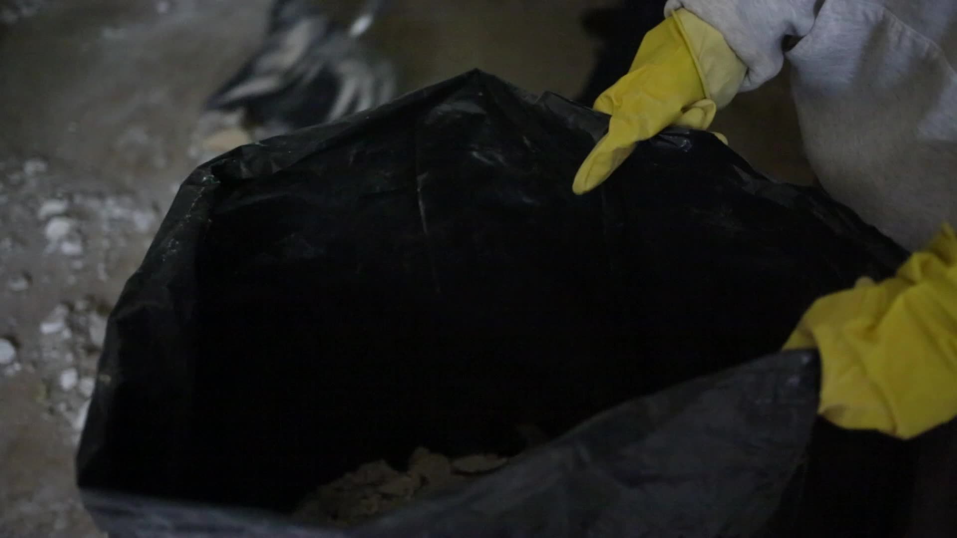NYC: Hurricane Sandy Relief
