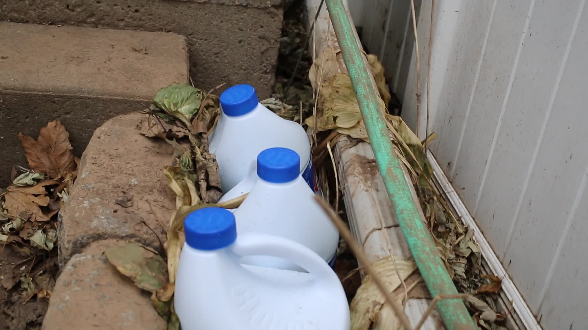Clorox Bottles