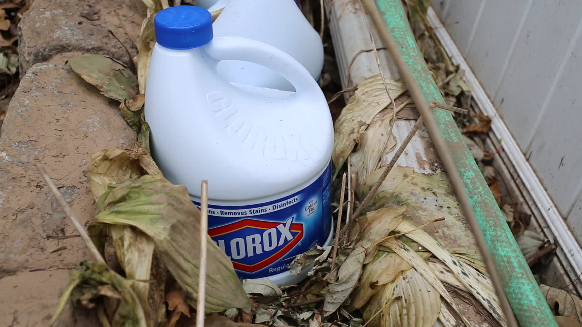 Clorox Bottles