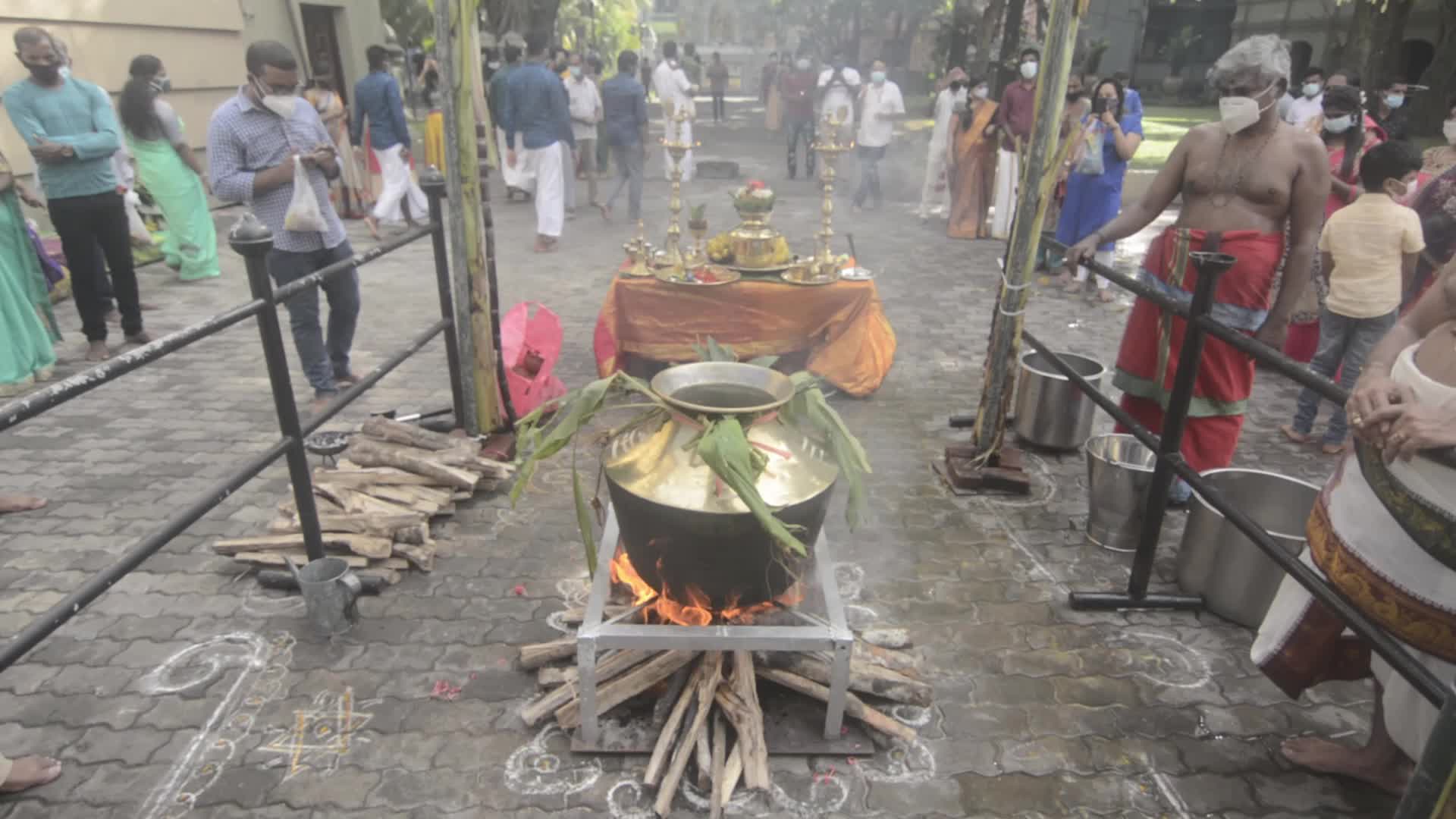 Tai Pongal Festival In Sri Lanka