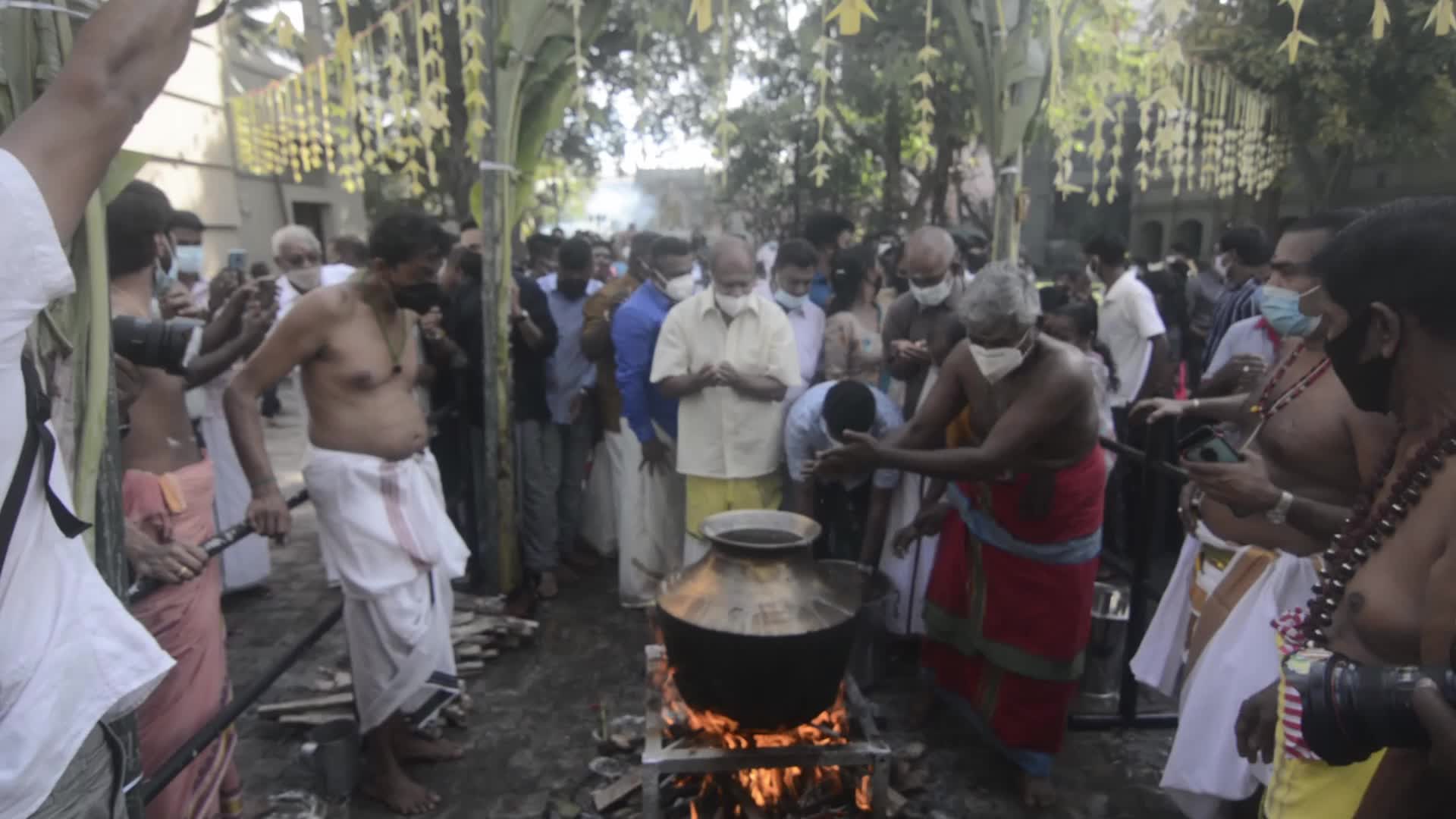 Tai Pongal Festival In Sri Lanka