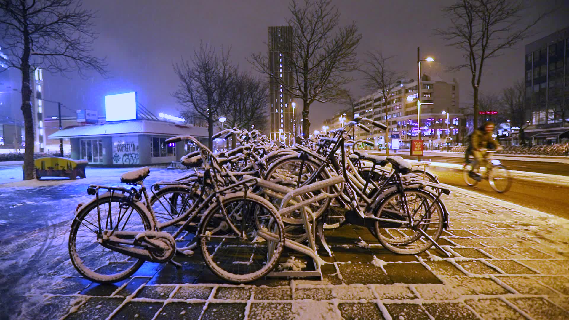 Snow In The Netherlands