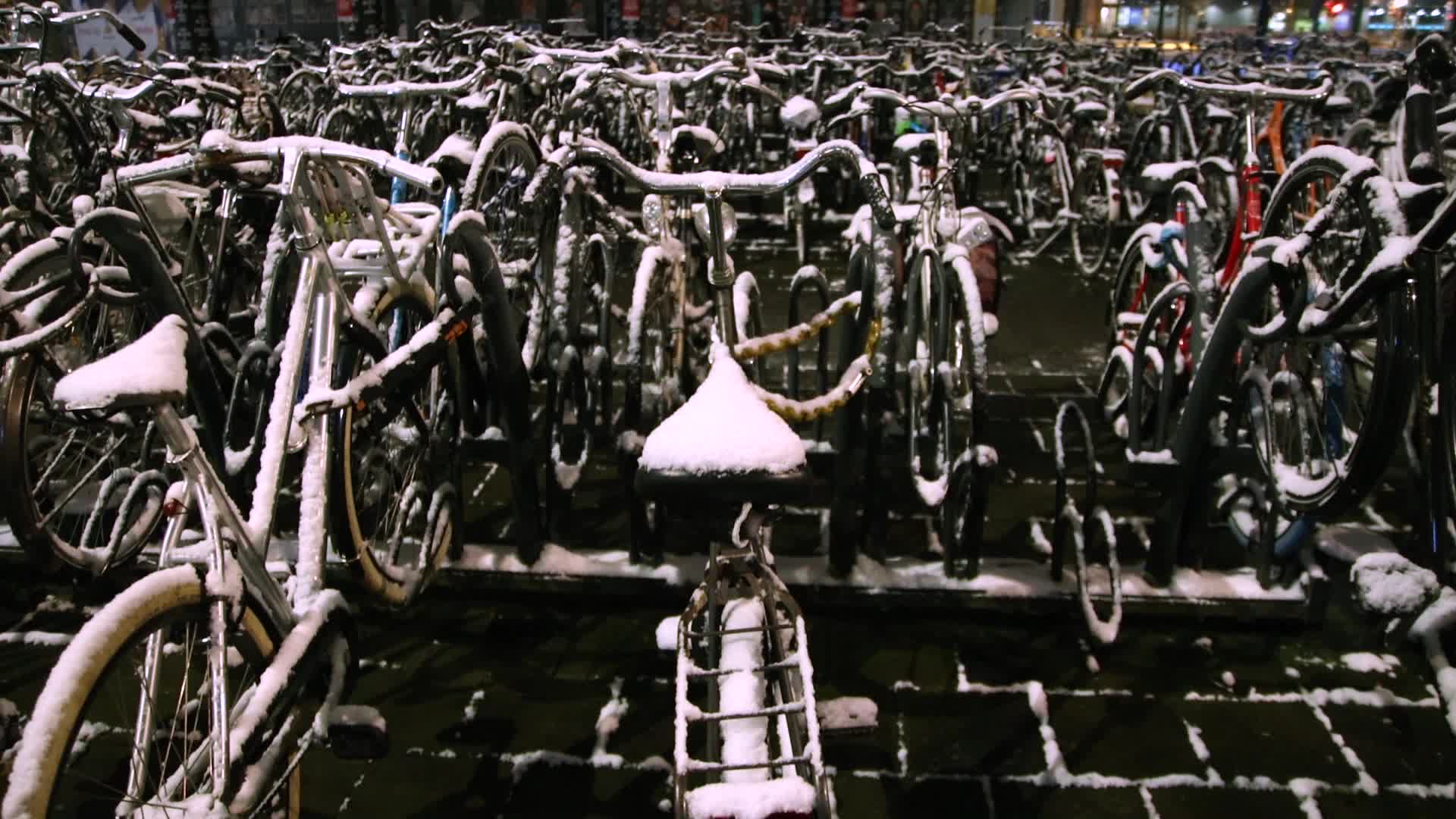 Snow In The Netherlands