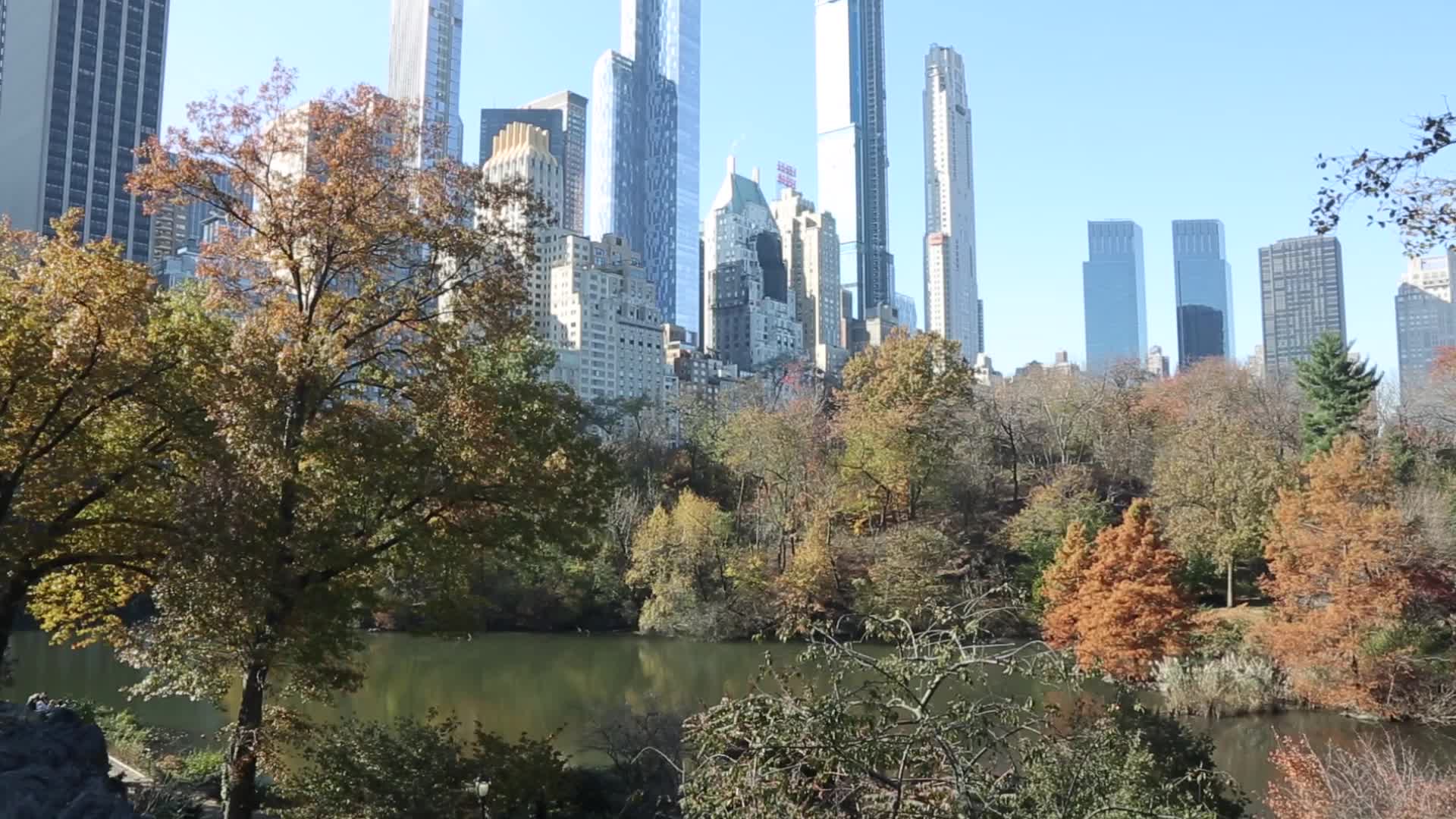 Central Park in New York City