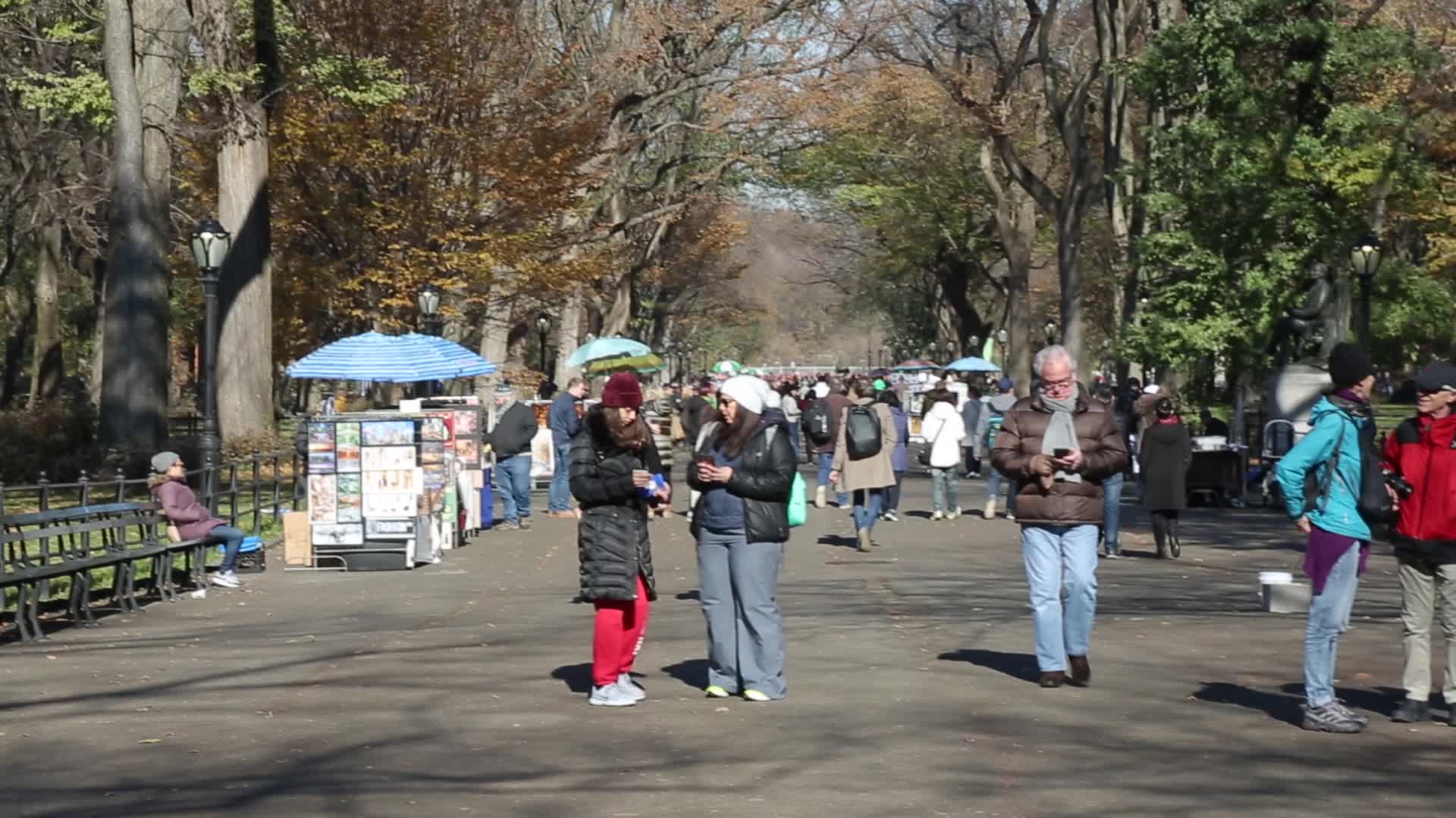 Central Park in New York City
