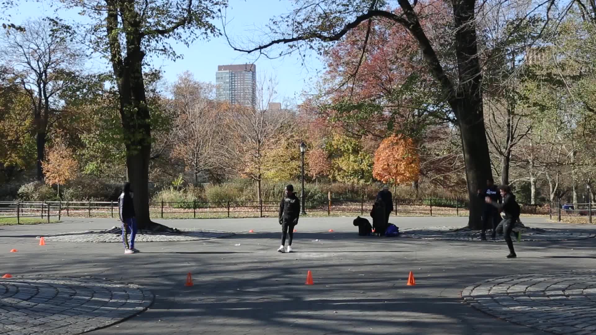 Central Park in New York City