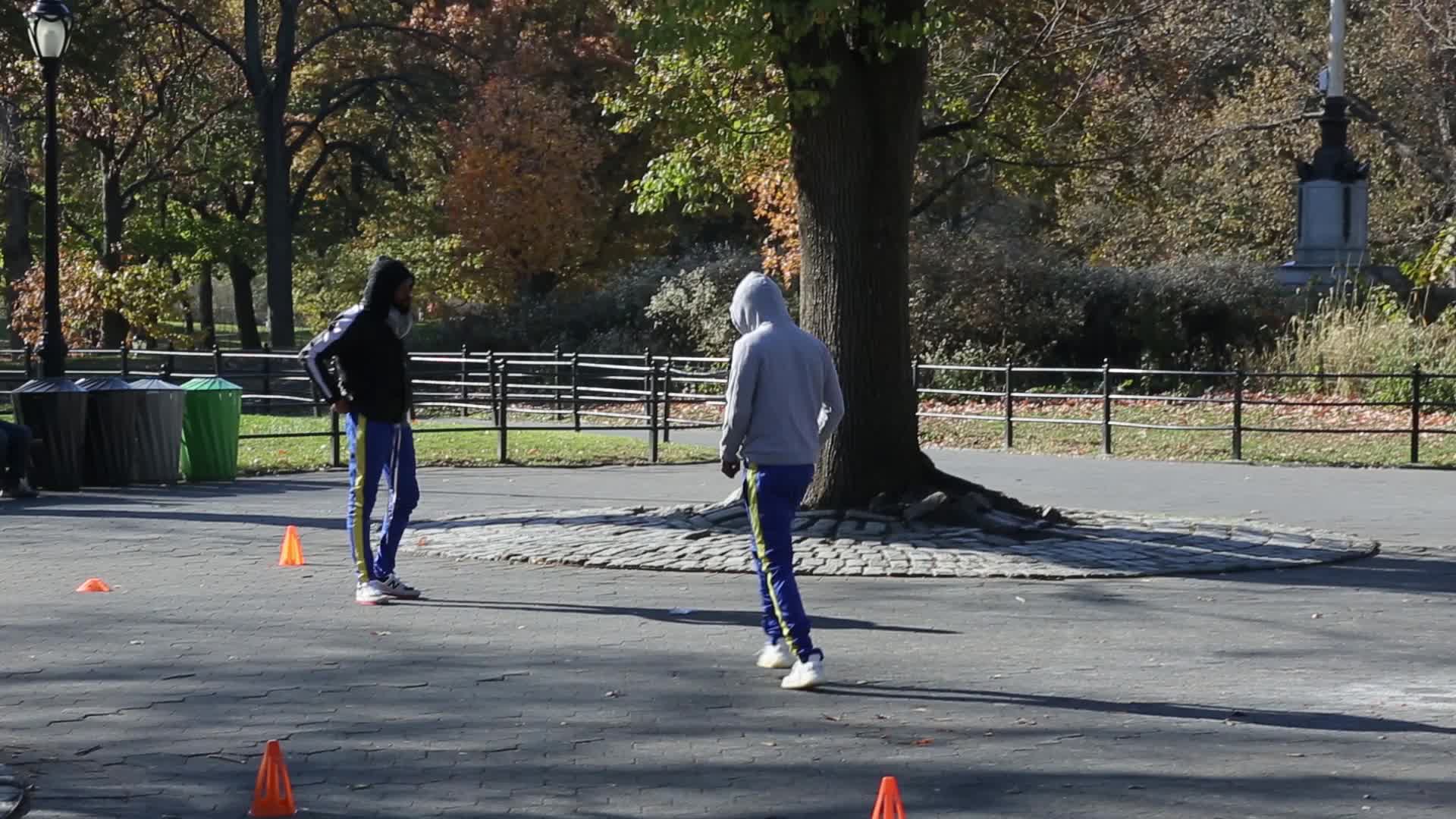 Central Park in New York City