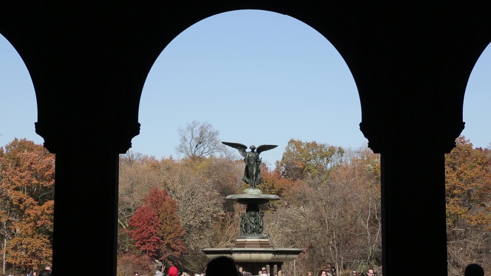 Central Park in New York City