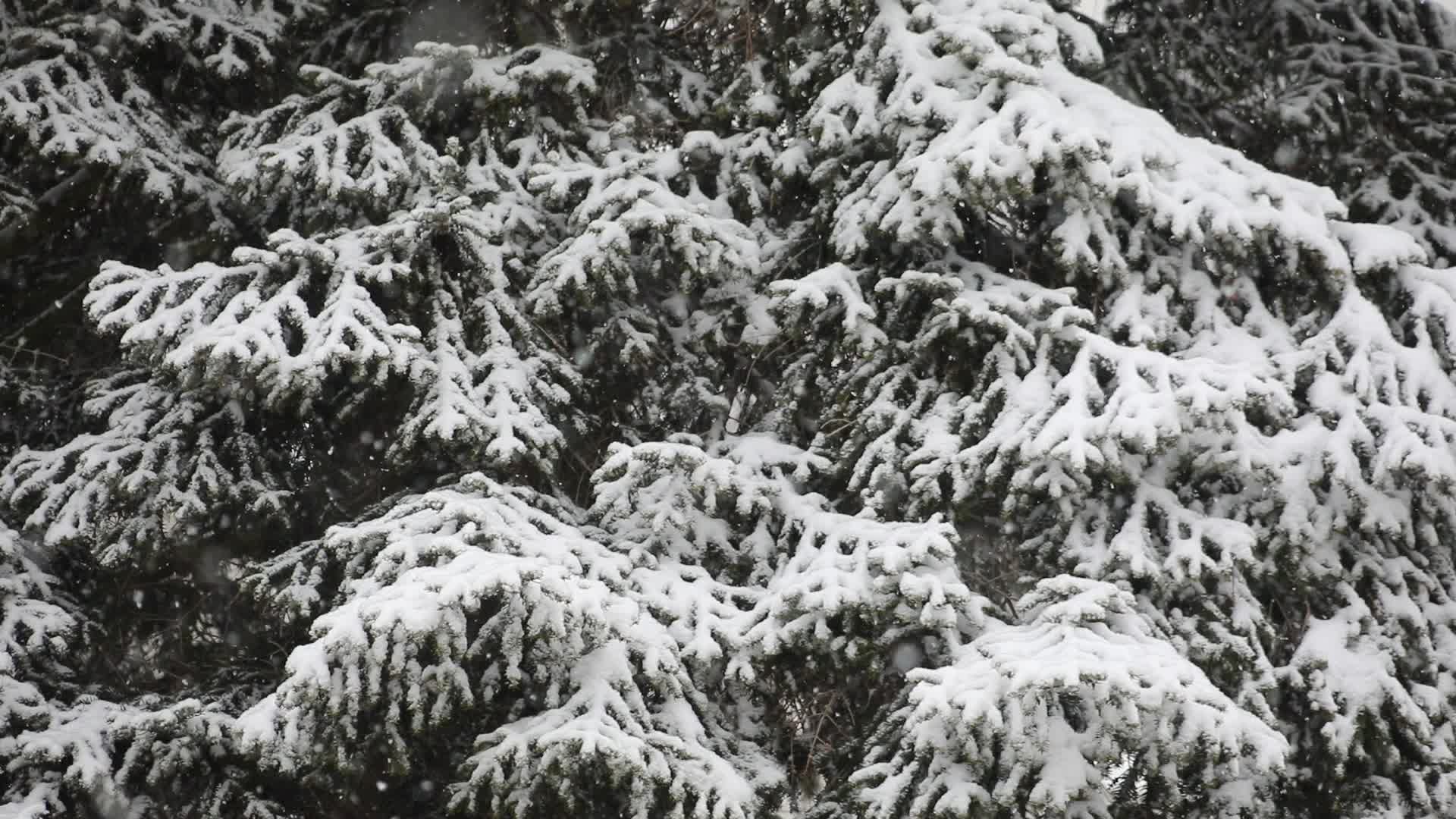 Snow in Stuttgart, Germany