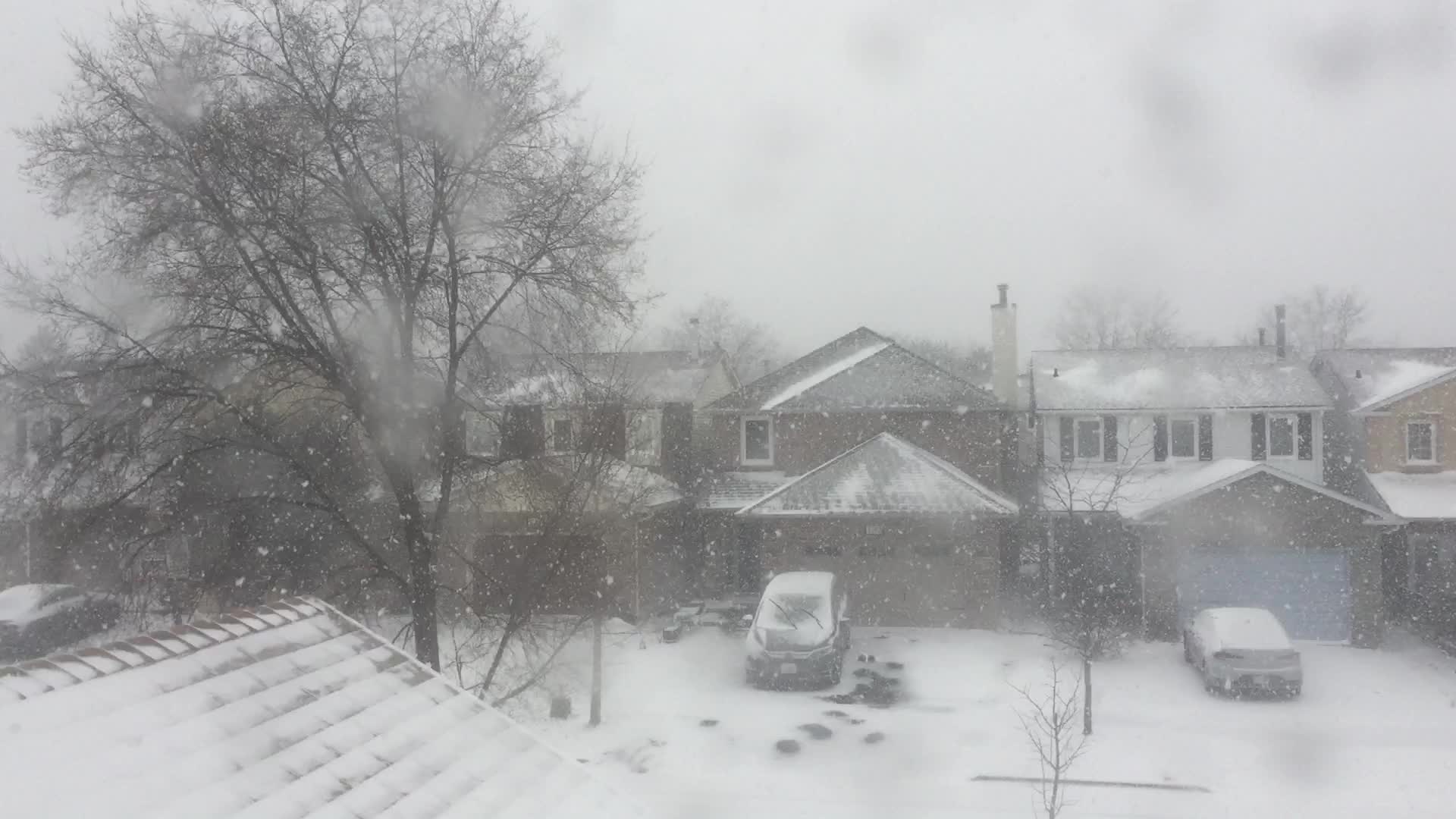 Toronto gets hit by winter snowstorm