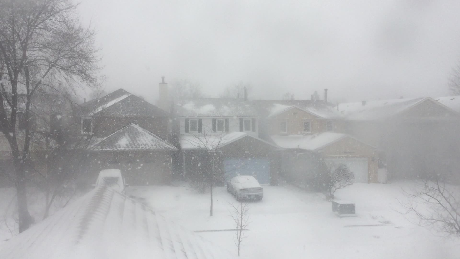 Toronto gets hit by winter snowstorm