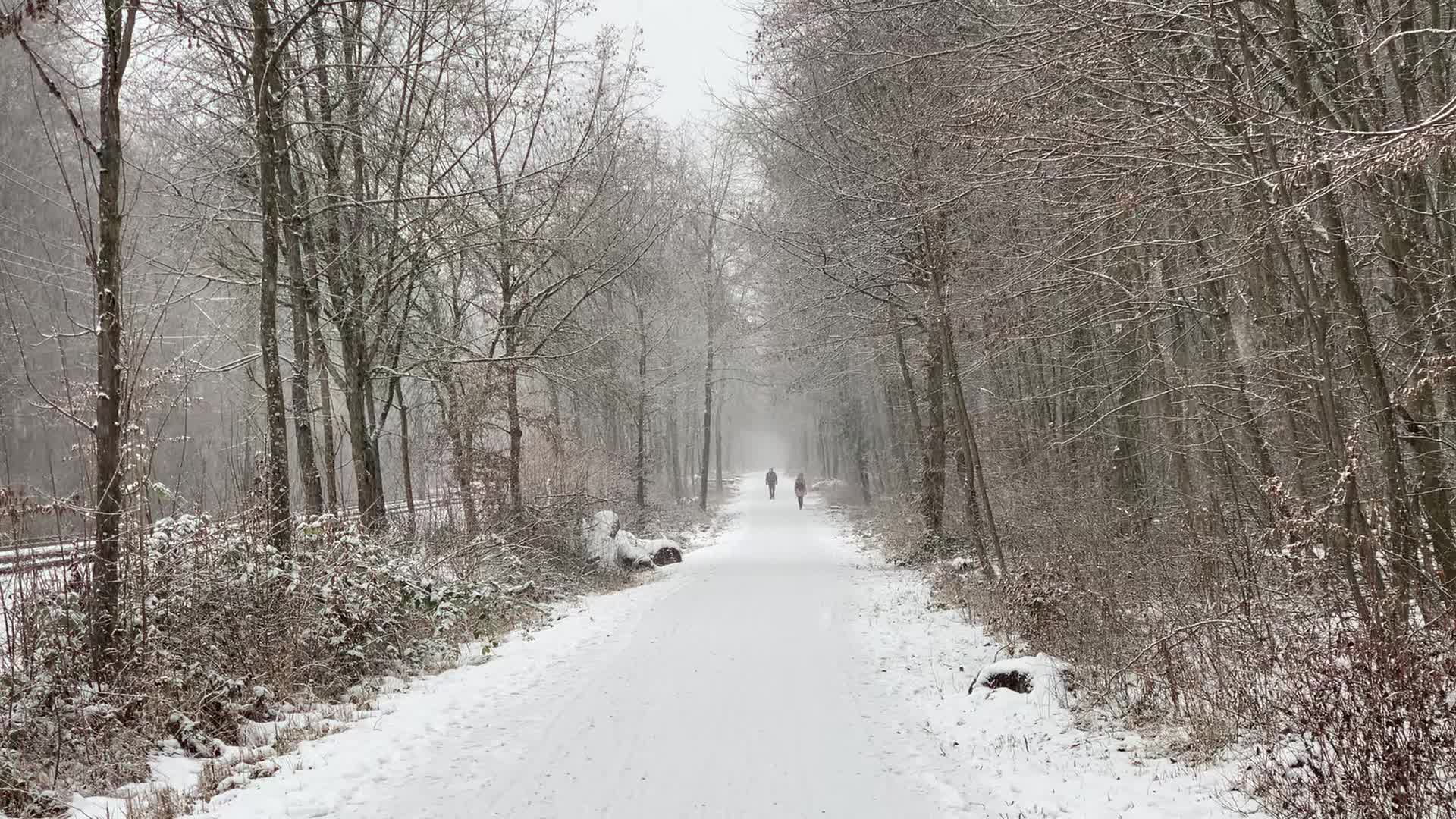 Snow in Stuttgart