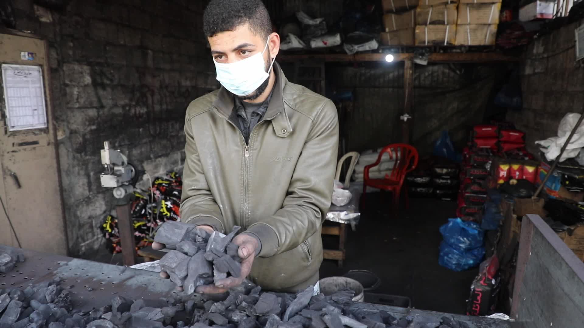 Woodcutters in Gaza, Palestine