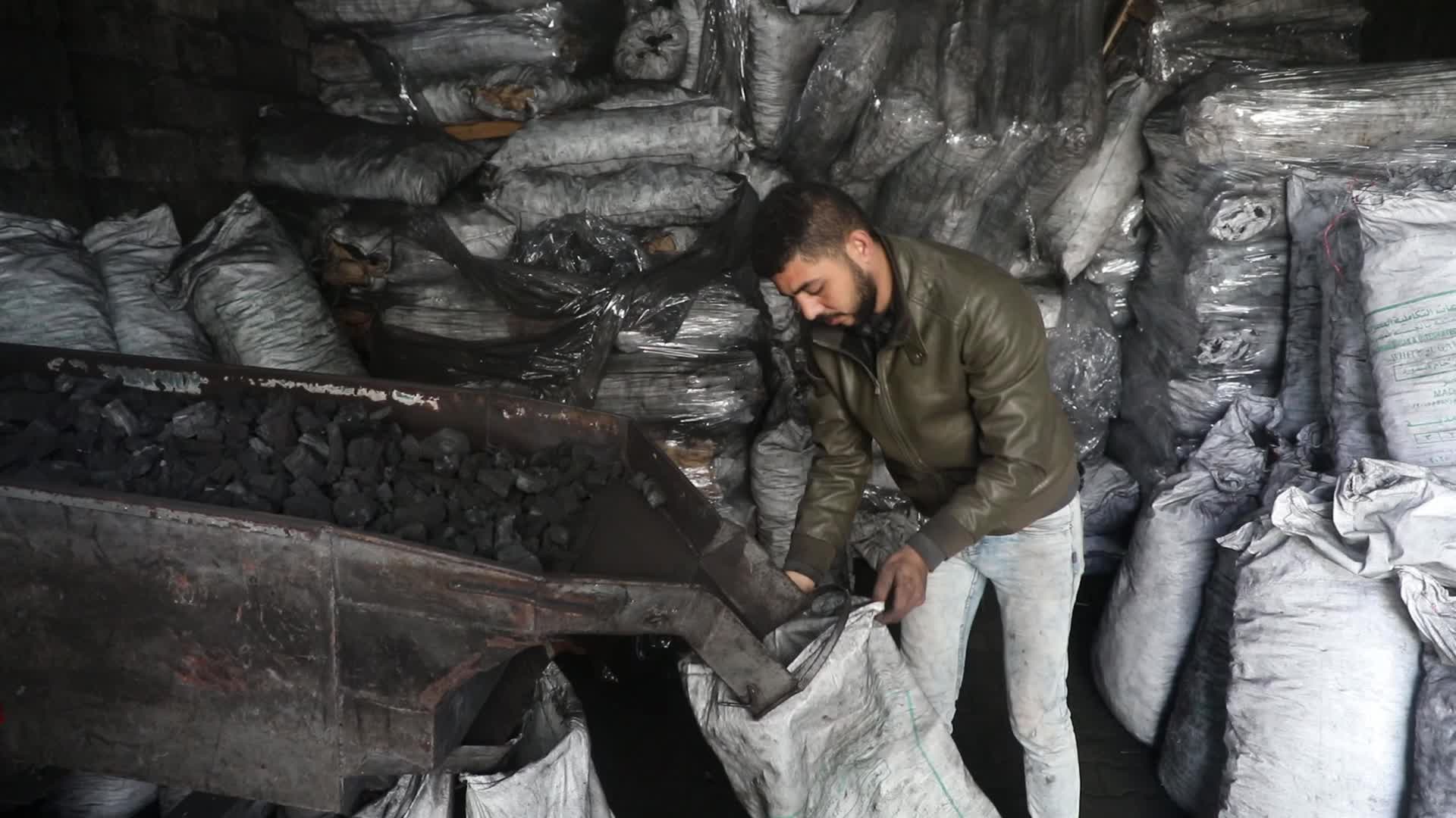 Woodcutters in Gaza, Palestine