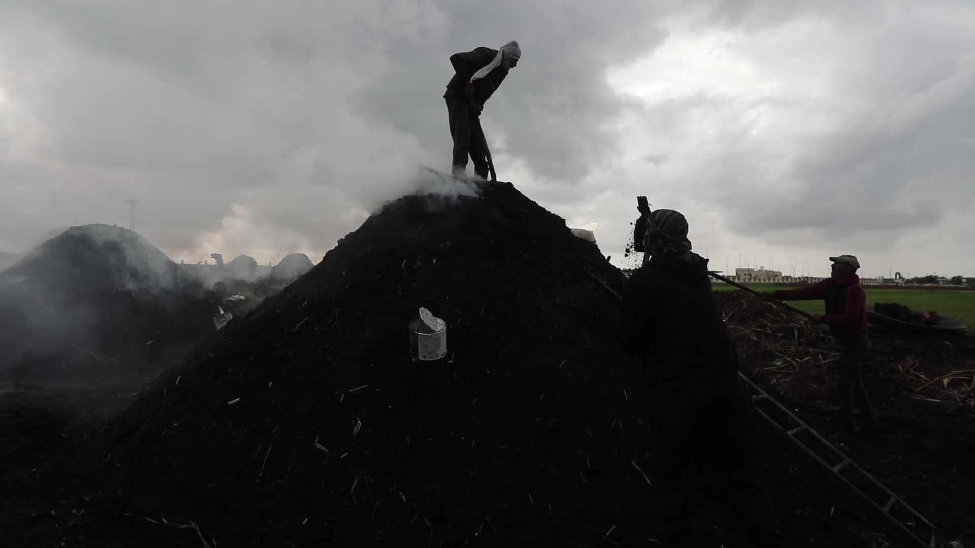 Woodcutters in Gaza, Palestine