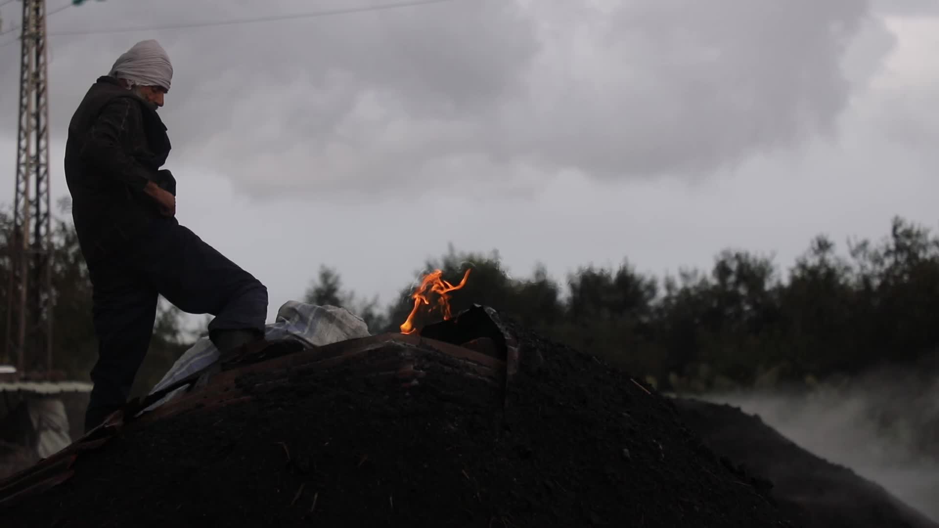 Woodcutters in Gaza, Palestine