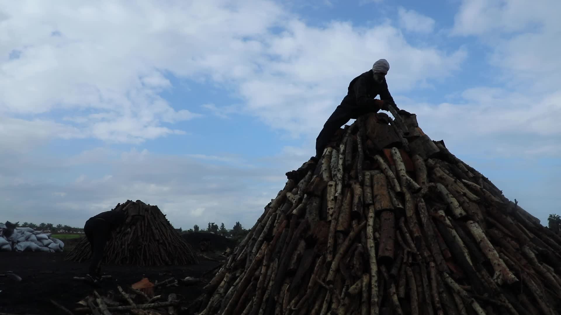 Woodcutters in Gaza, Palestine