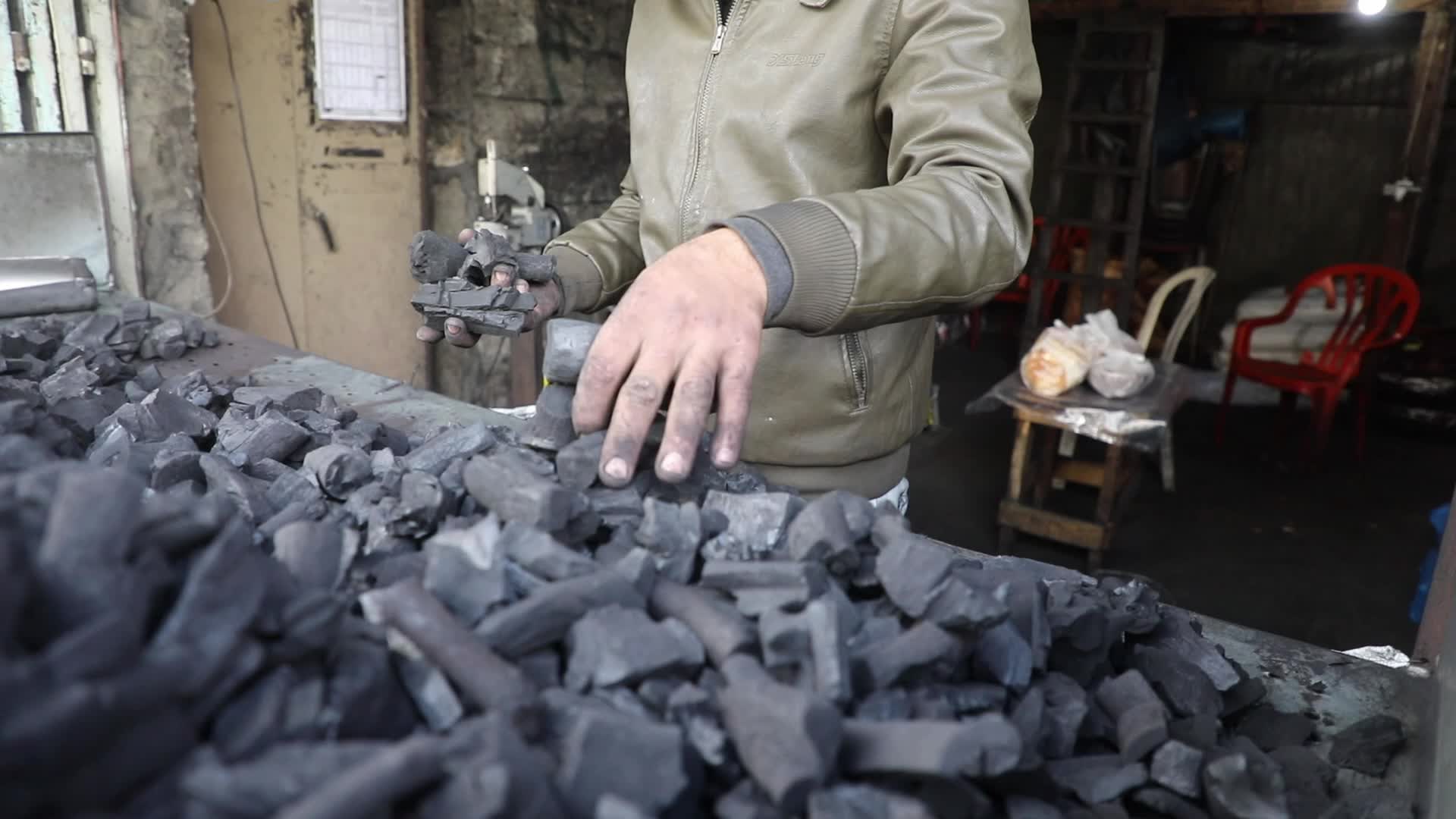 Woodcutters in Gaza, Palestine