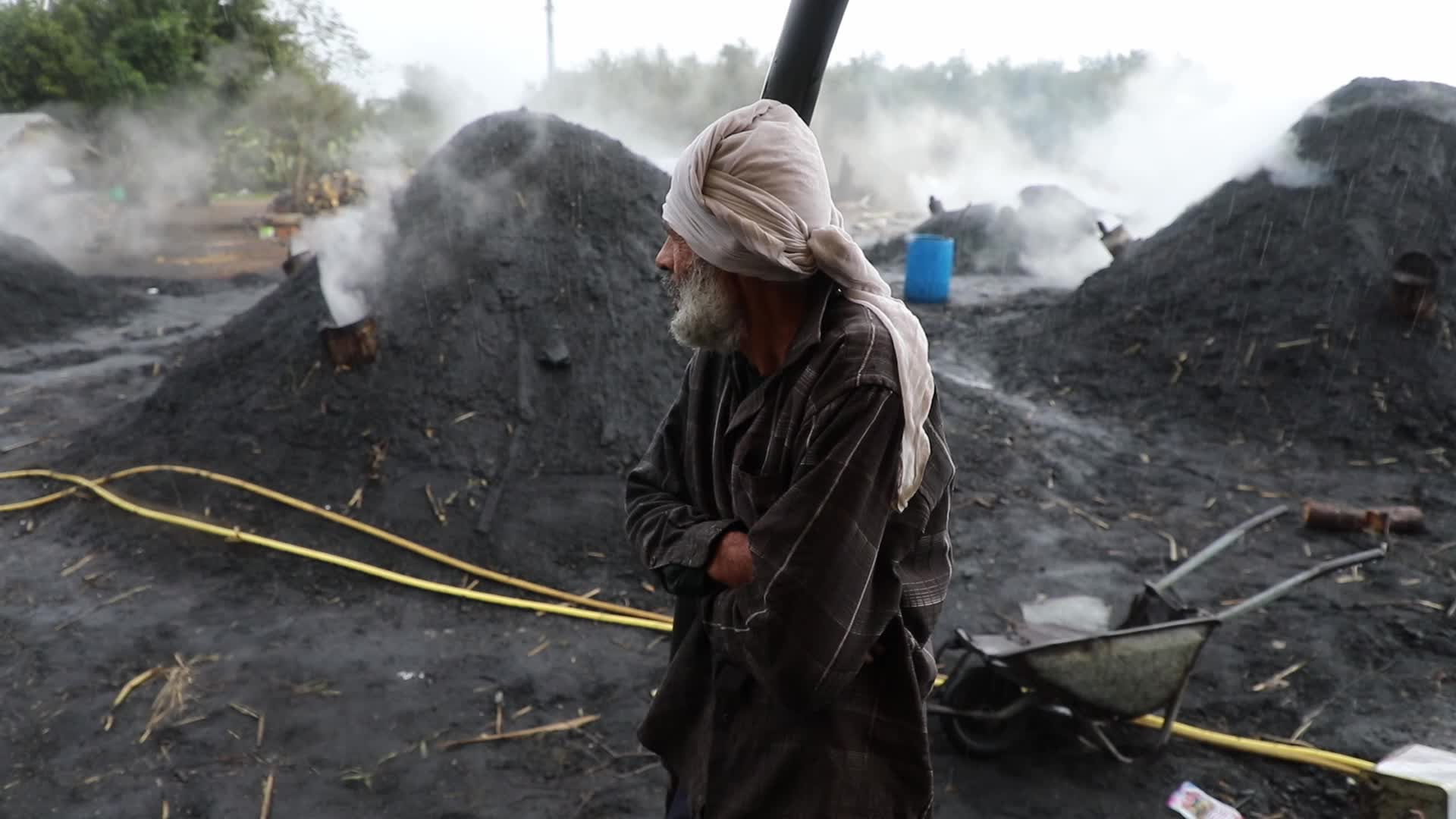 Woodcutters in Gaza, Palestine