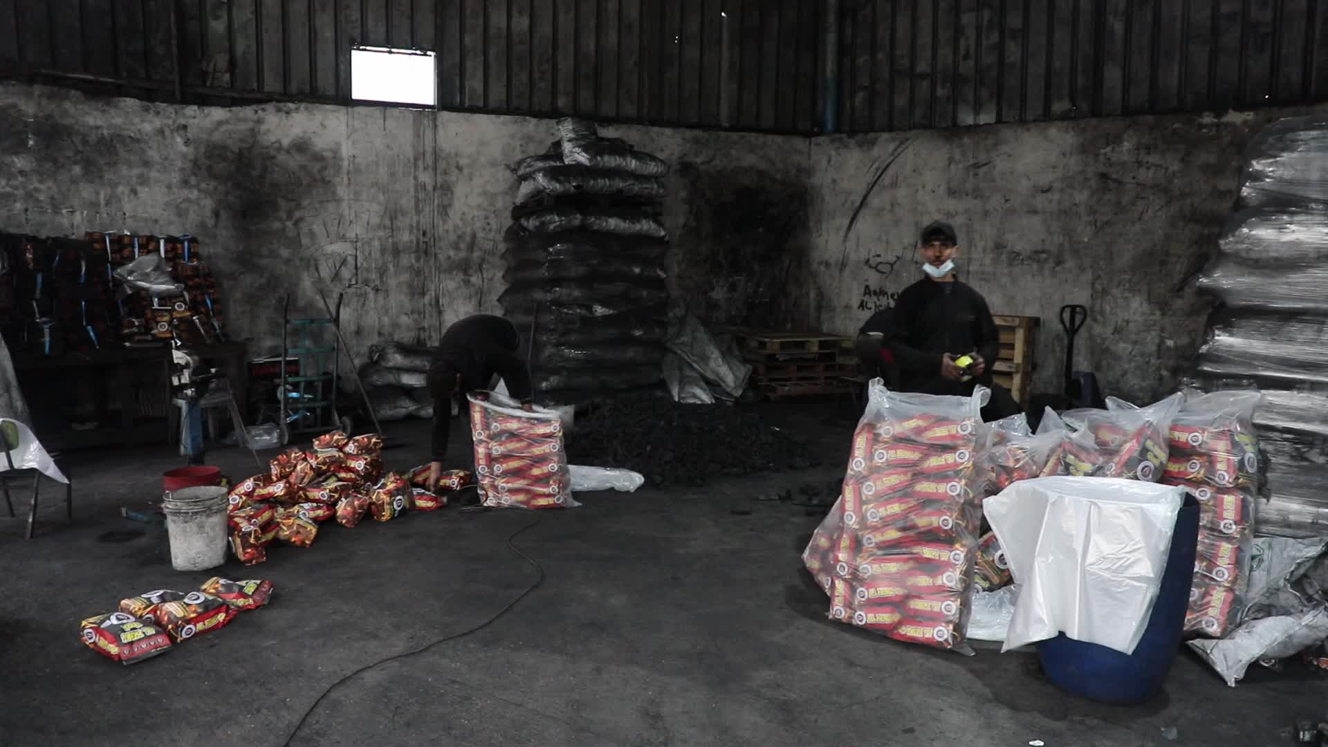 Woodcutters in Gaza, Palestine