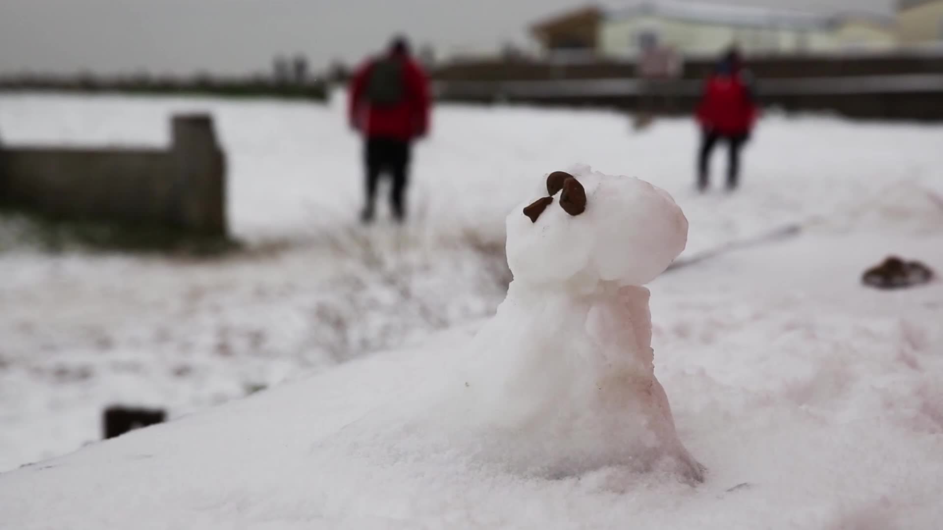 Snow and wind heats South-East England
