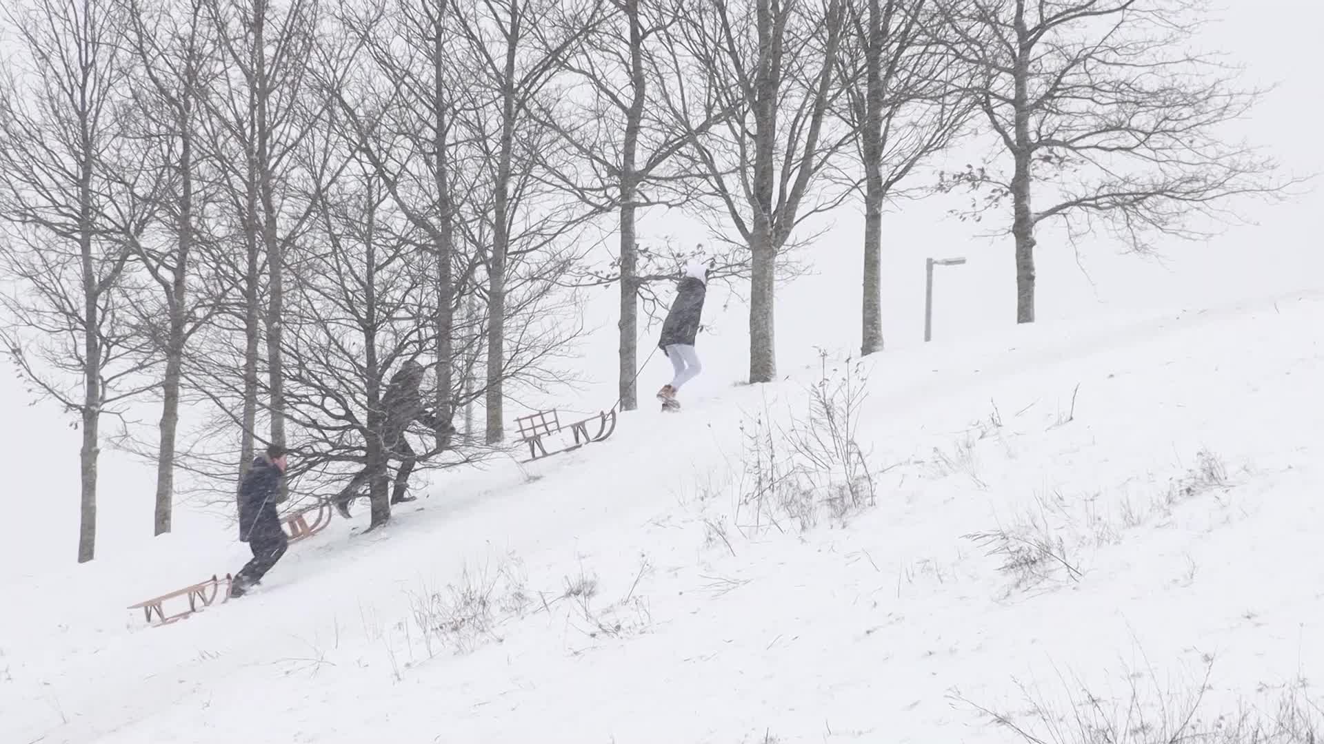 Dutch have fun in the snow in Meerhoven, Netherlands