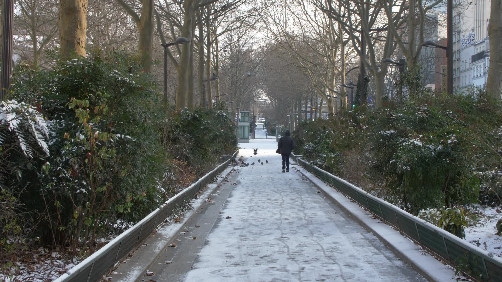 Paris and Ile-de-France under the snow