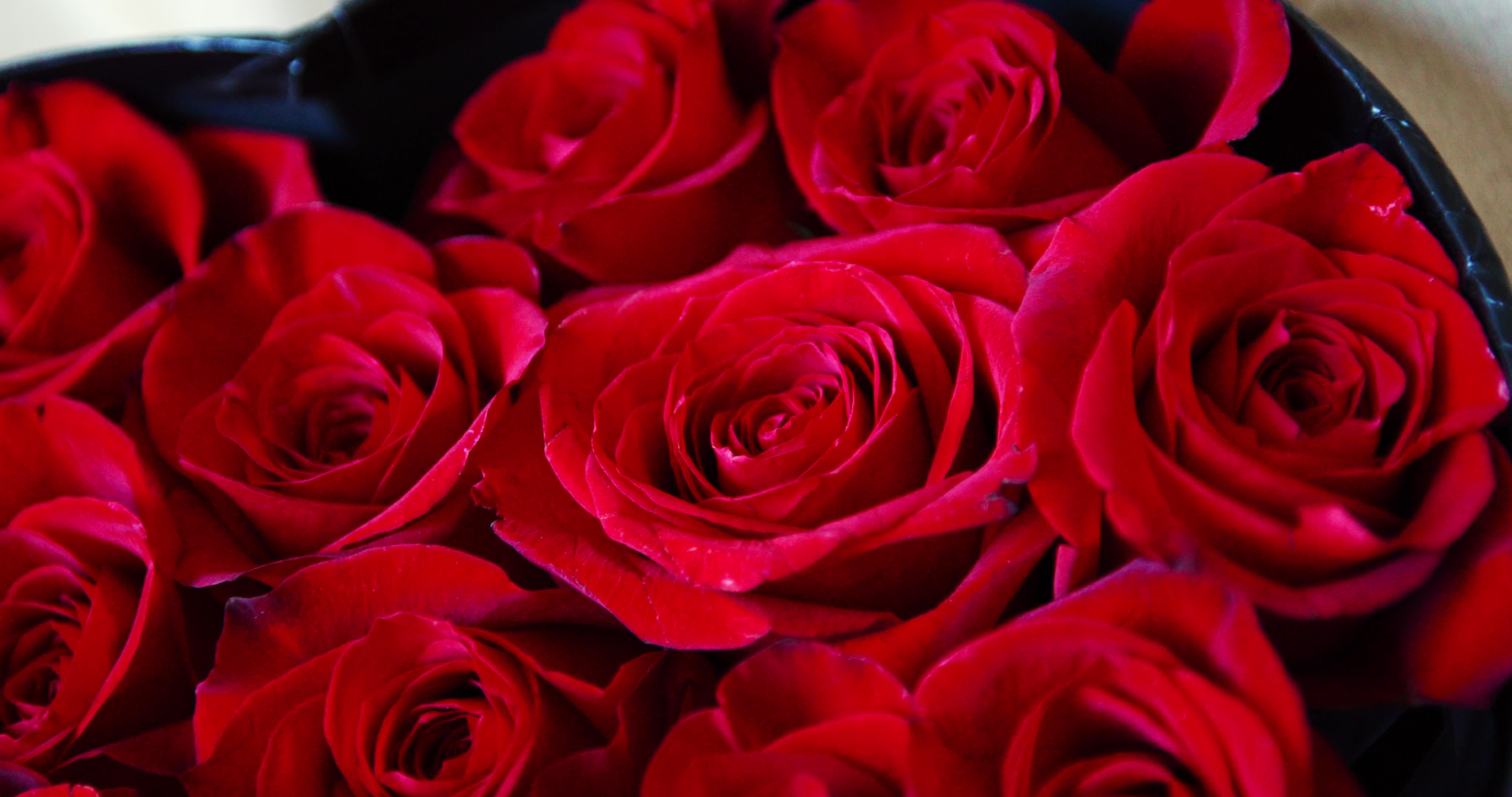 Valentine's Day - Video Illustration