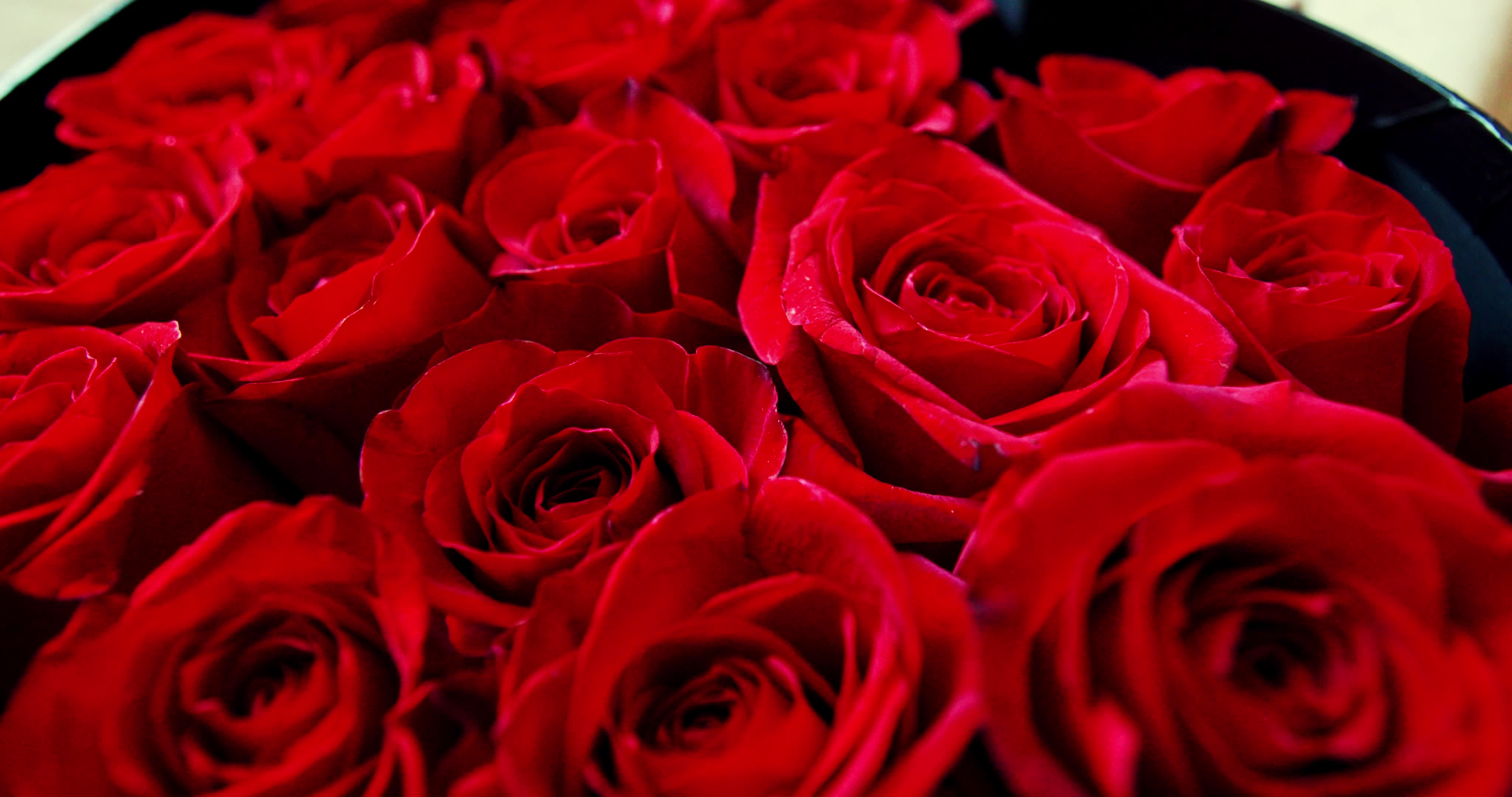 Valentine's Day - Video Illustration
