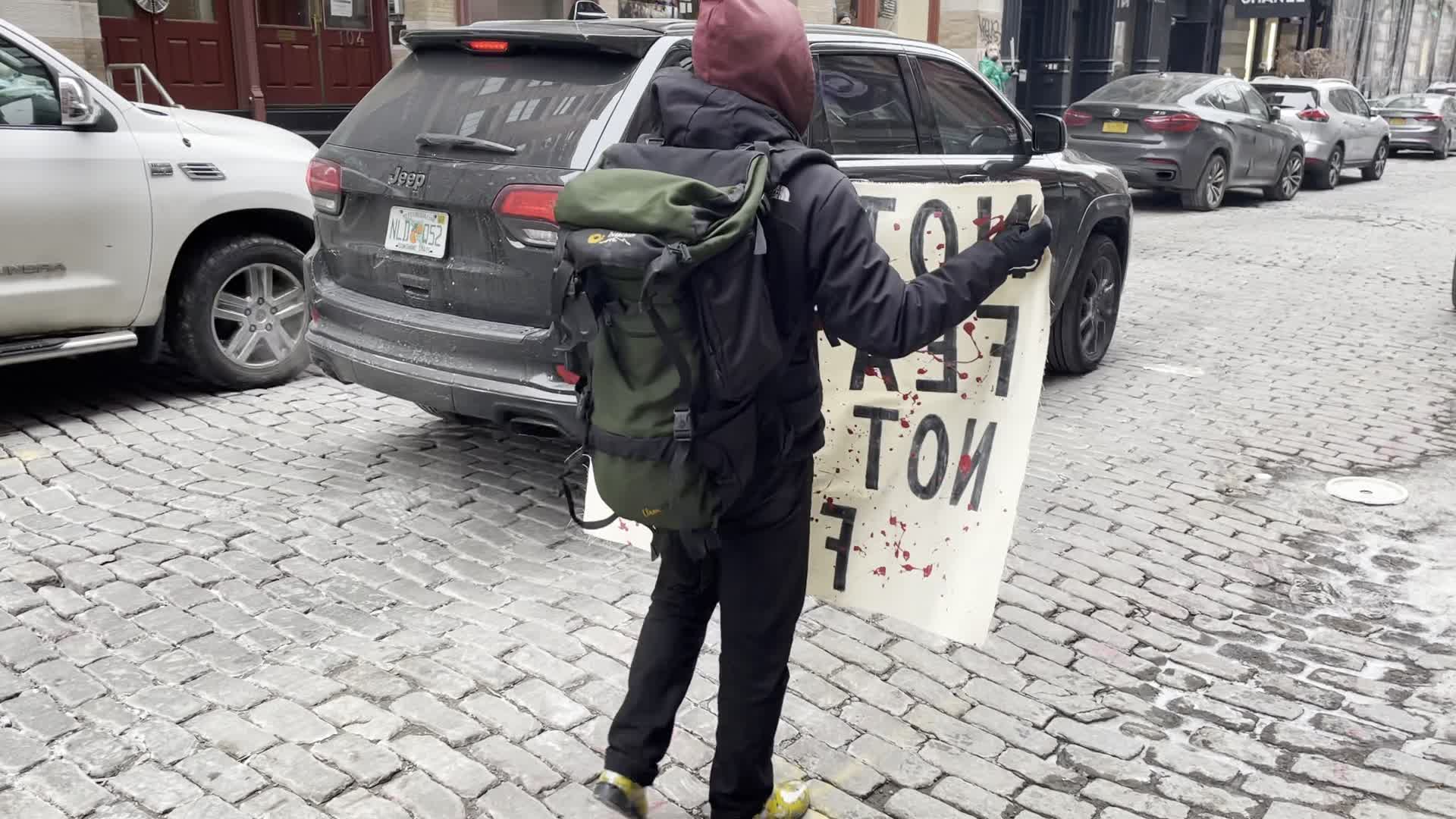 Canada Goose animal rights protest in New York City
