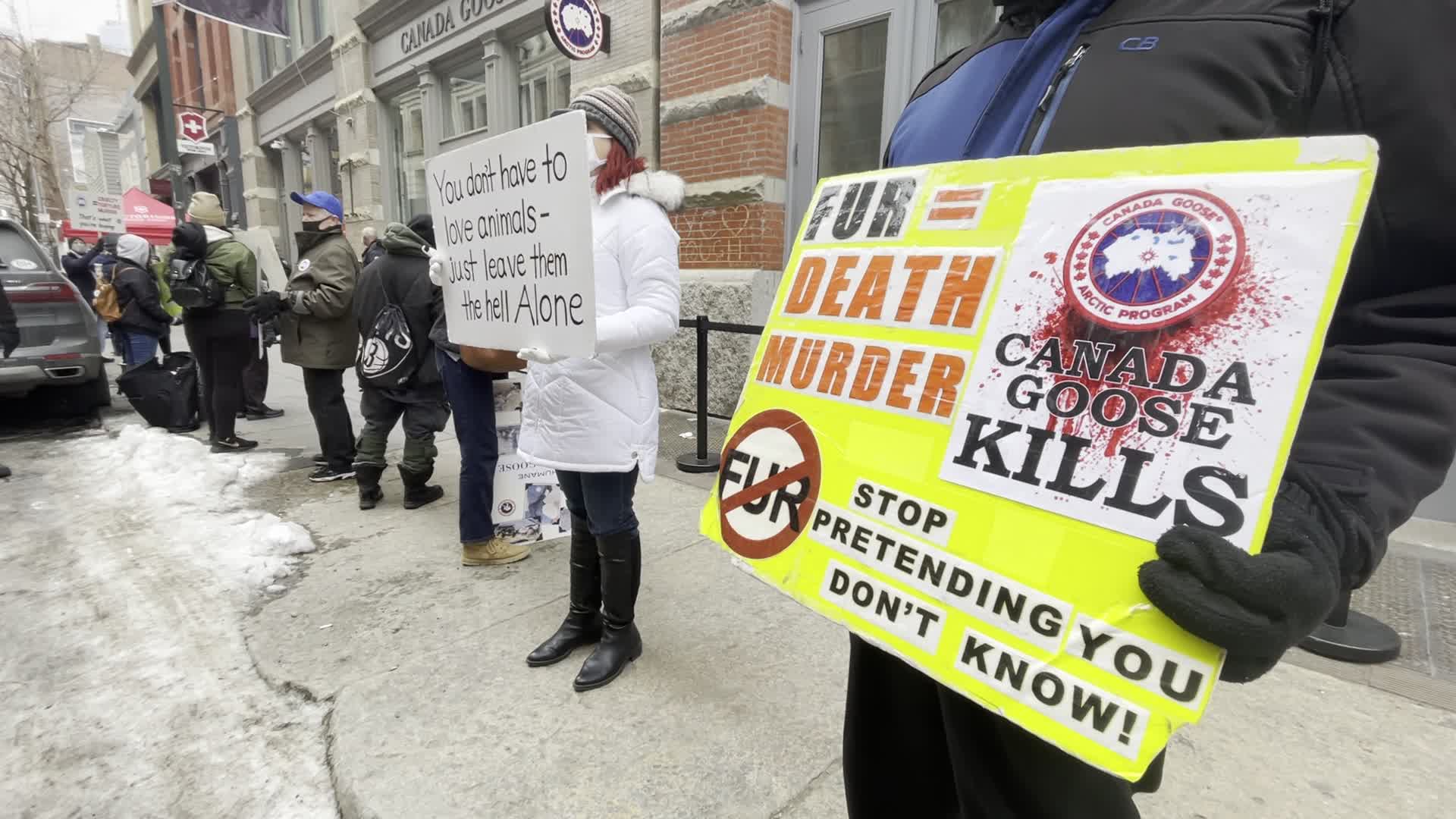 Canada Goose animal rights protest in New York City